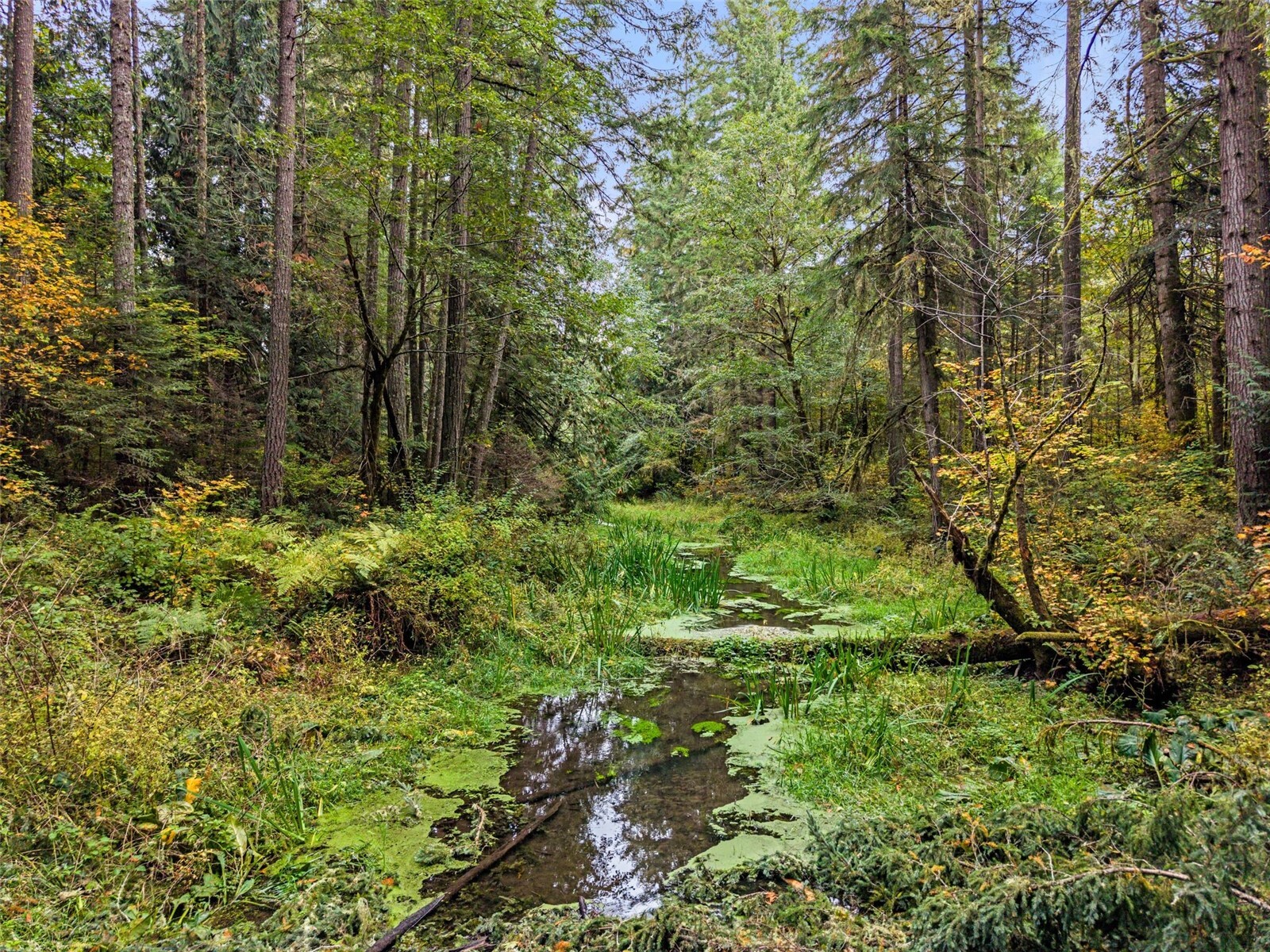 13041 Black Bear Lane Property Photo 17