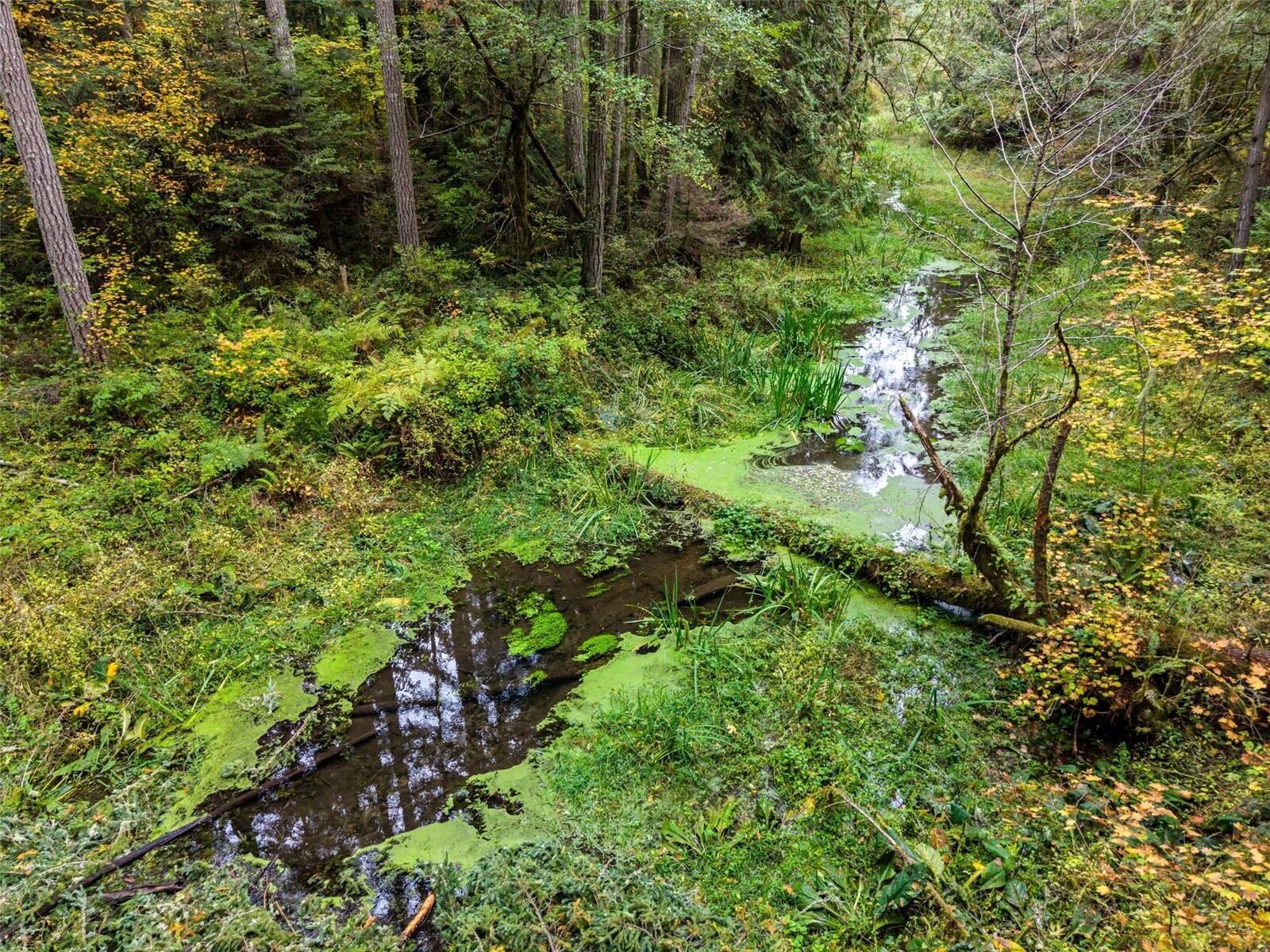 13041 Black Bear Lane Property Photo 18