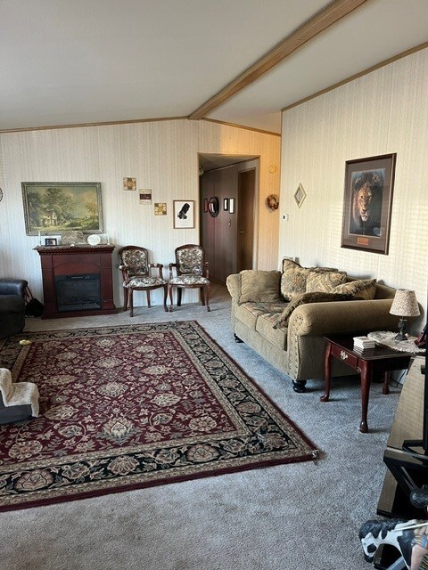 1321 Rancho Villa Dr Property Photo 39