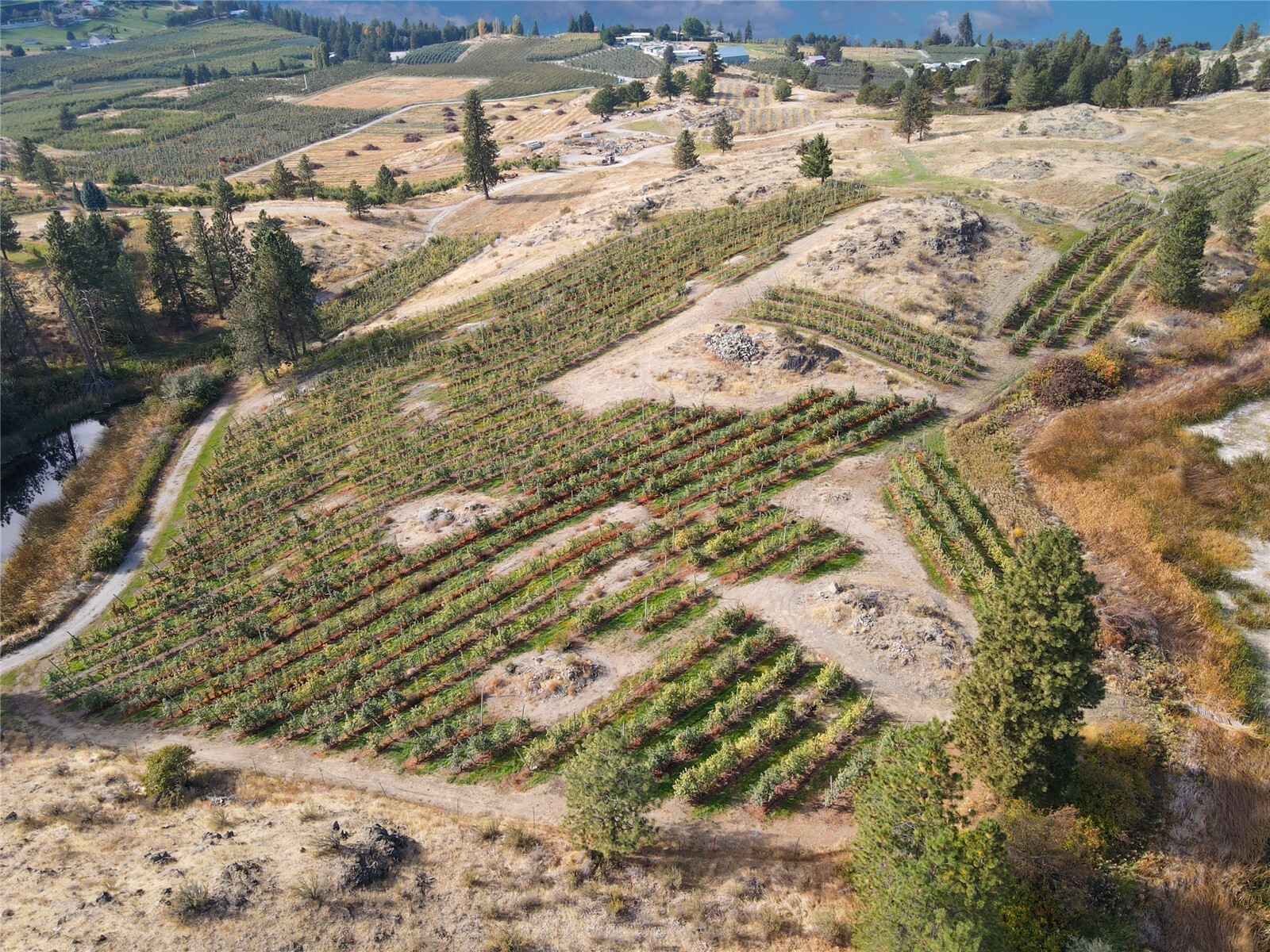 854 Greens Landing Property Photo 15