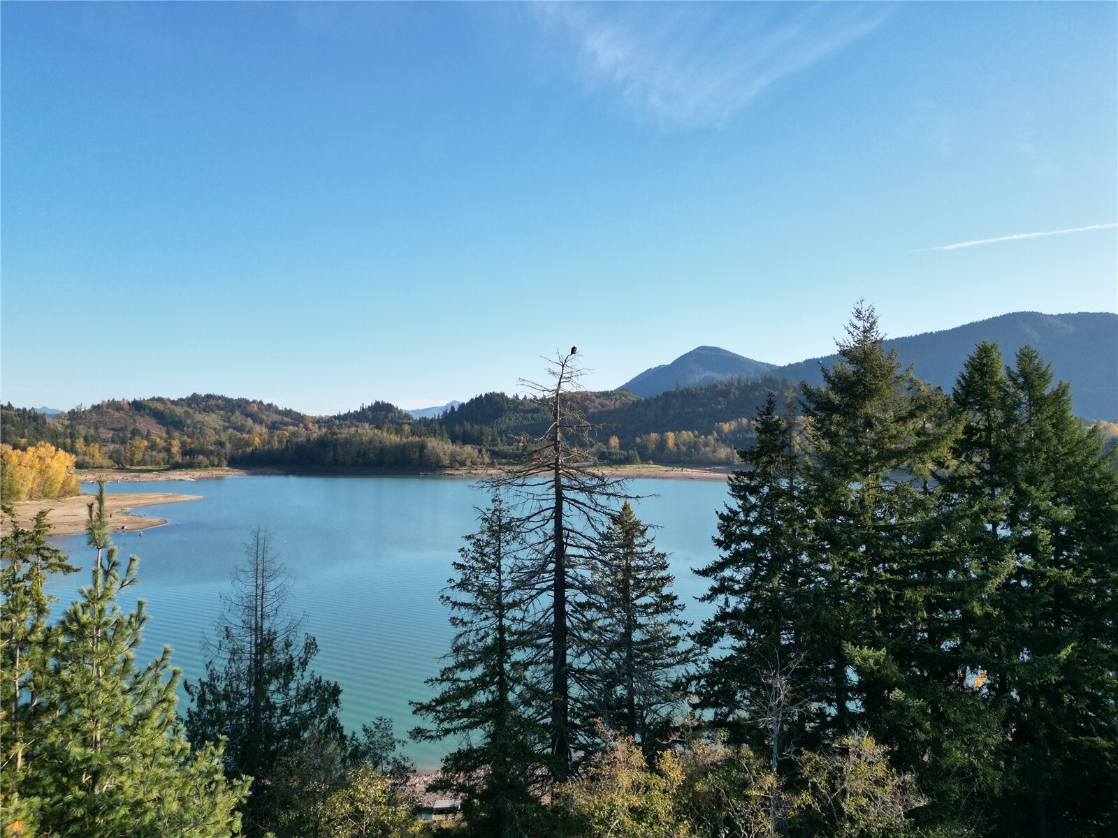 50214 E Mountain Highway Property Photo 38