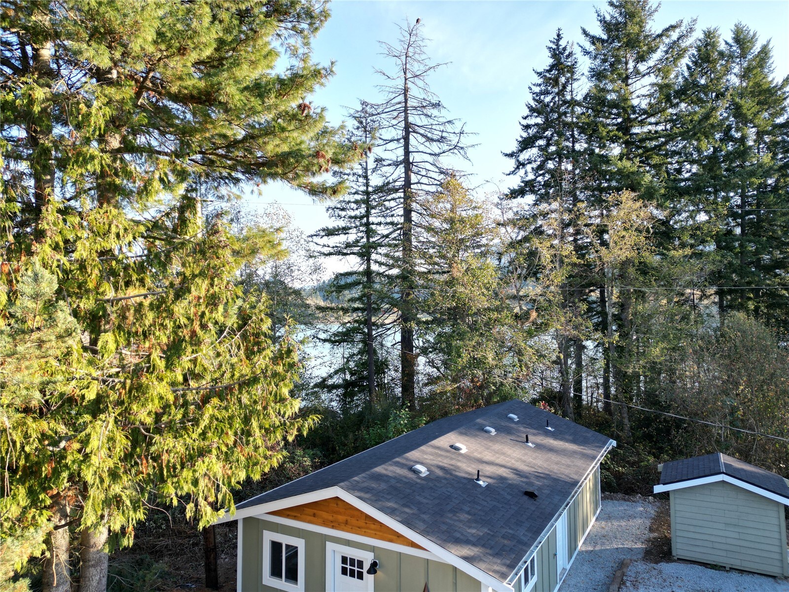 50214 E Mountain Highway Property Photo 39