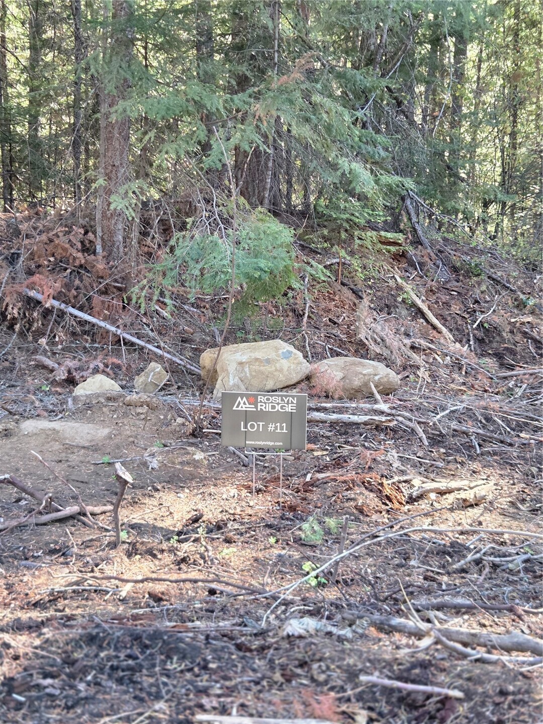 11 Rock Cress Lane Property Photo 1