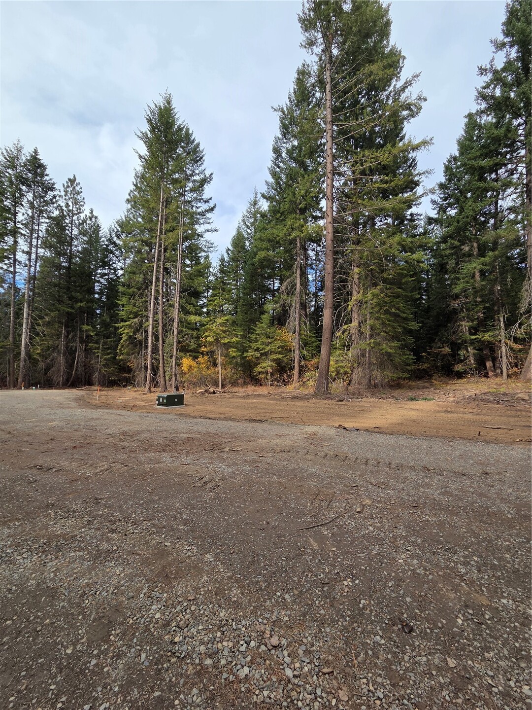 9 Rock Cress Lane Property Photo 3