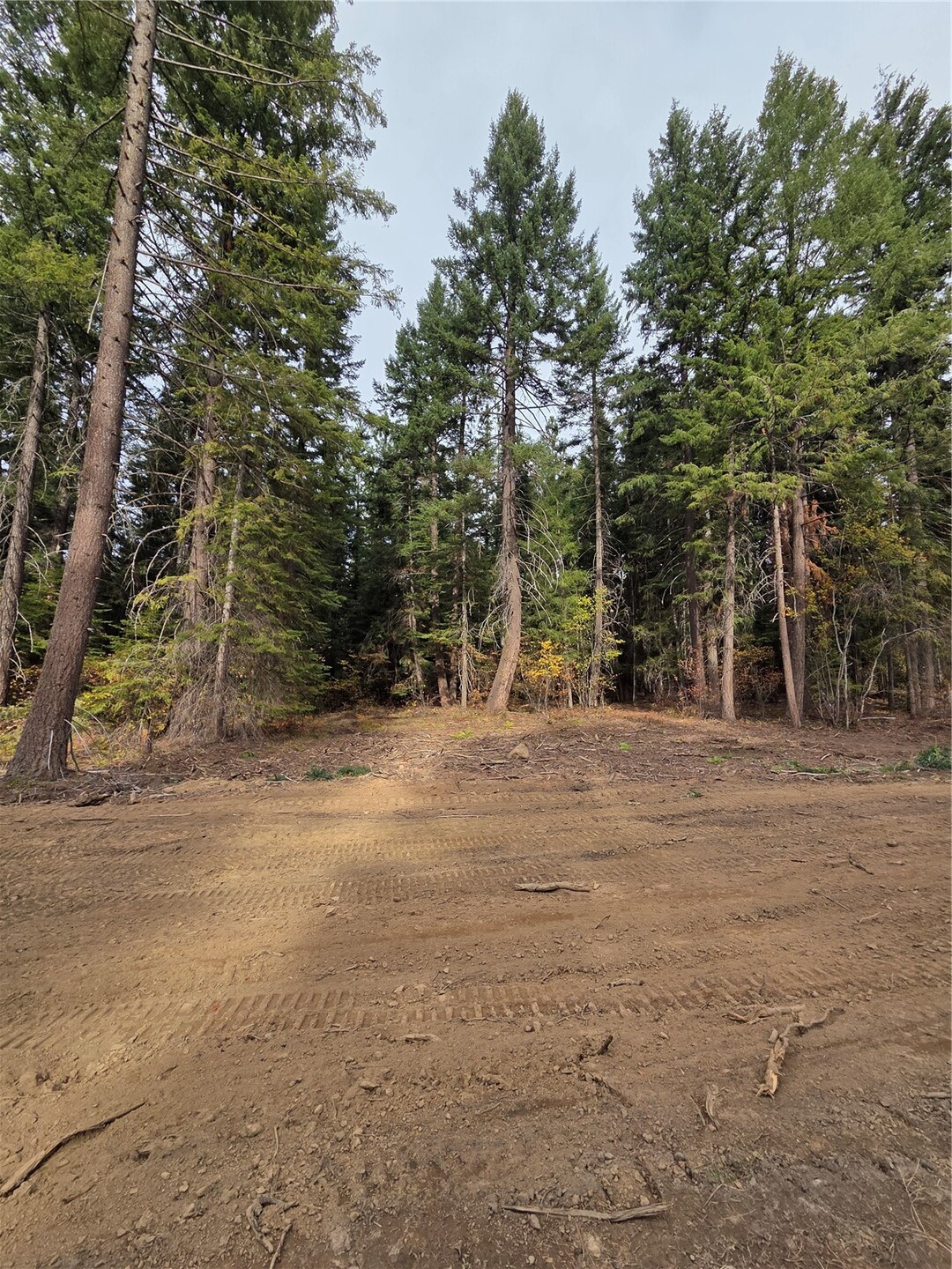 8 Rock Cress Lane Property Photo 1