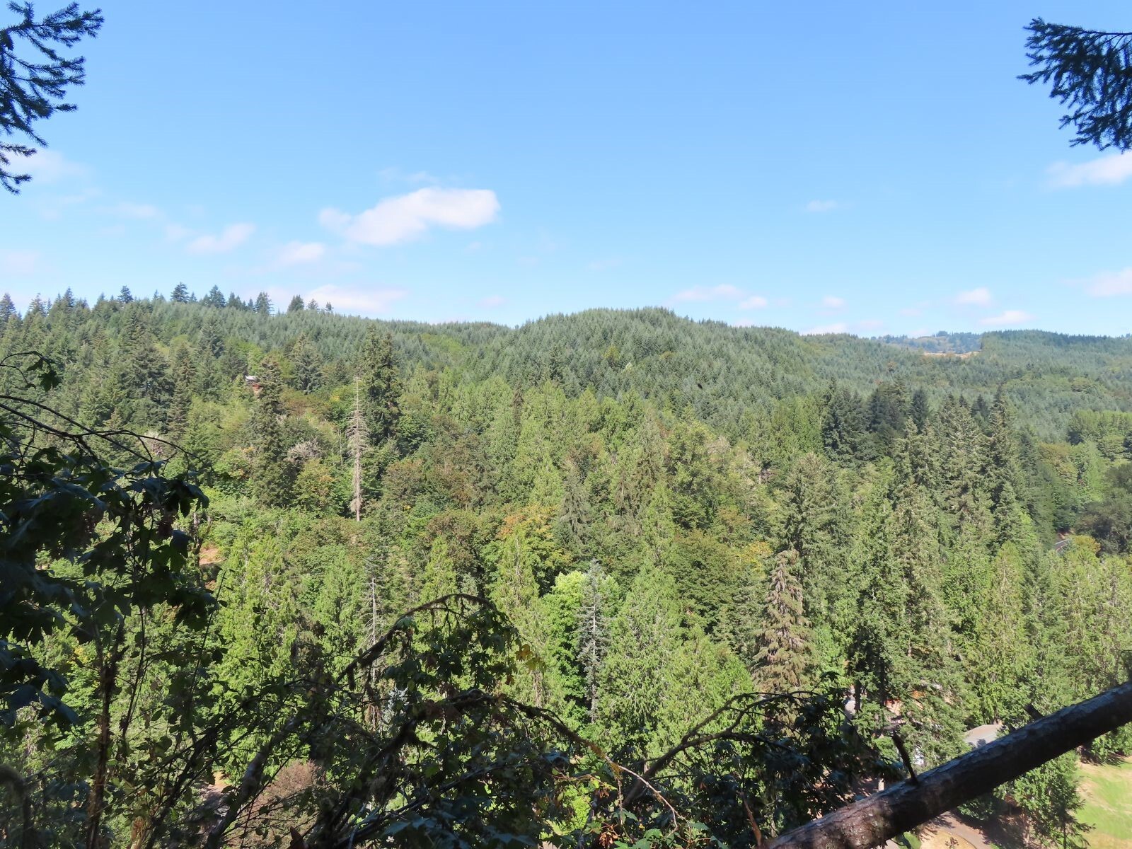 0 Fallert Road Property Photo 1