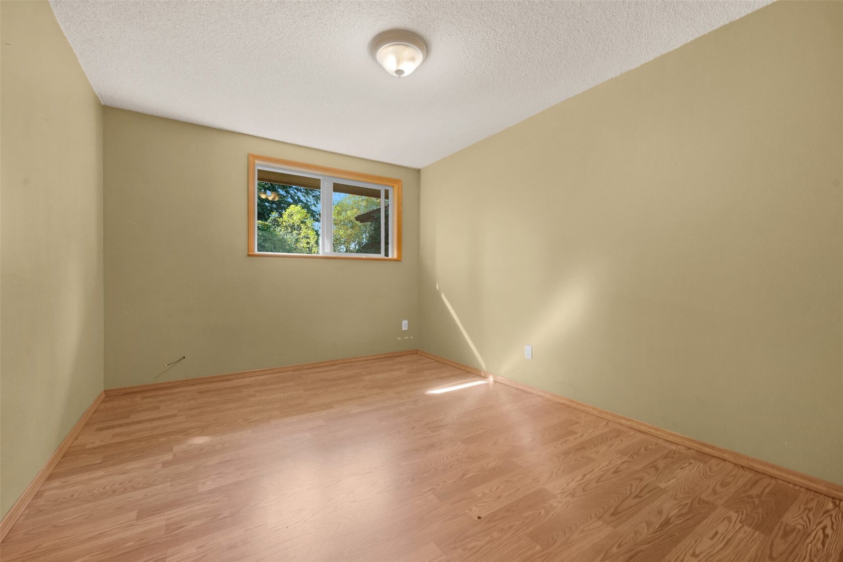 4318 87th Avenue Property Photo 14