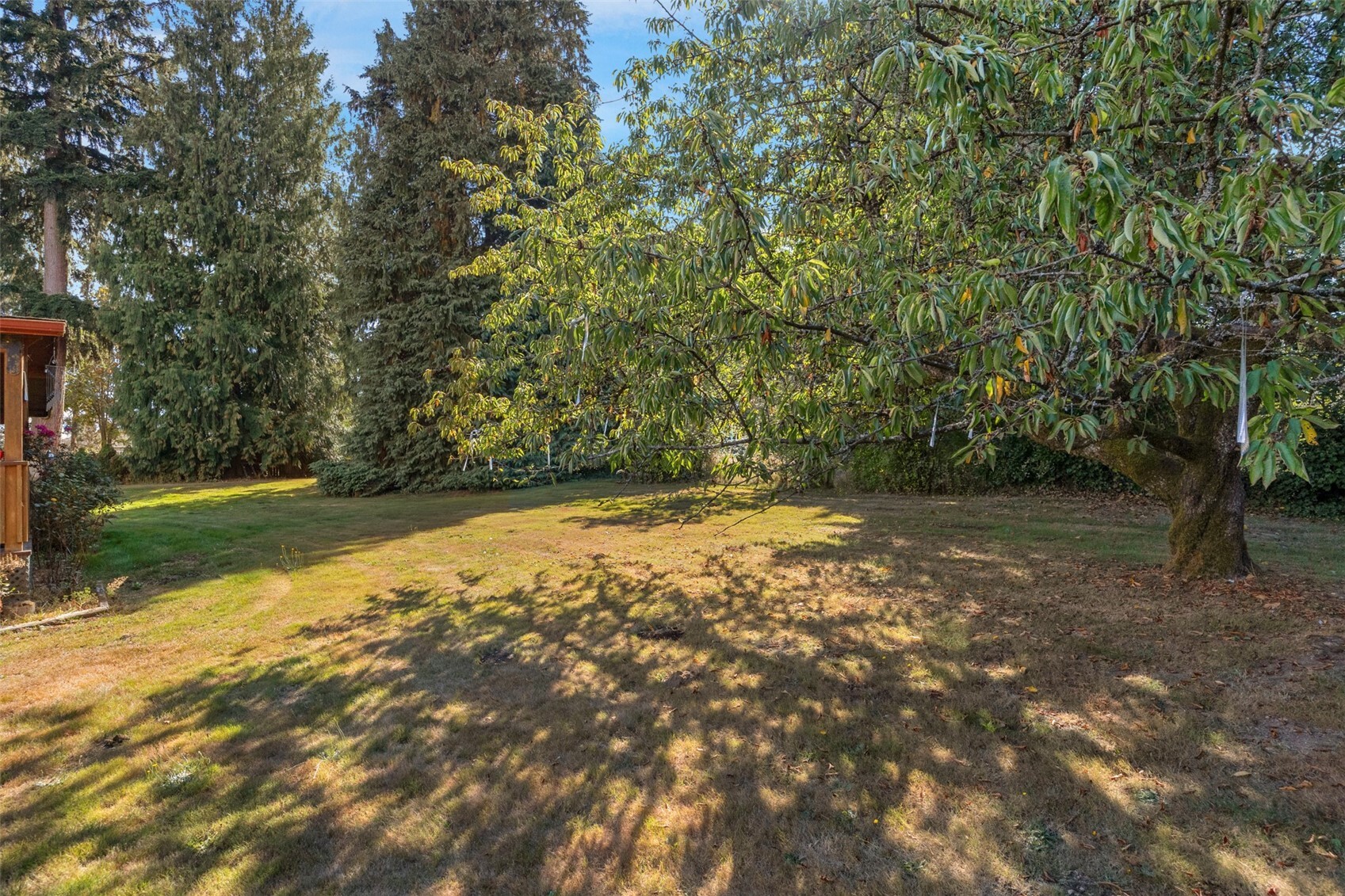 4318 87th Avenue Property Photo 22