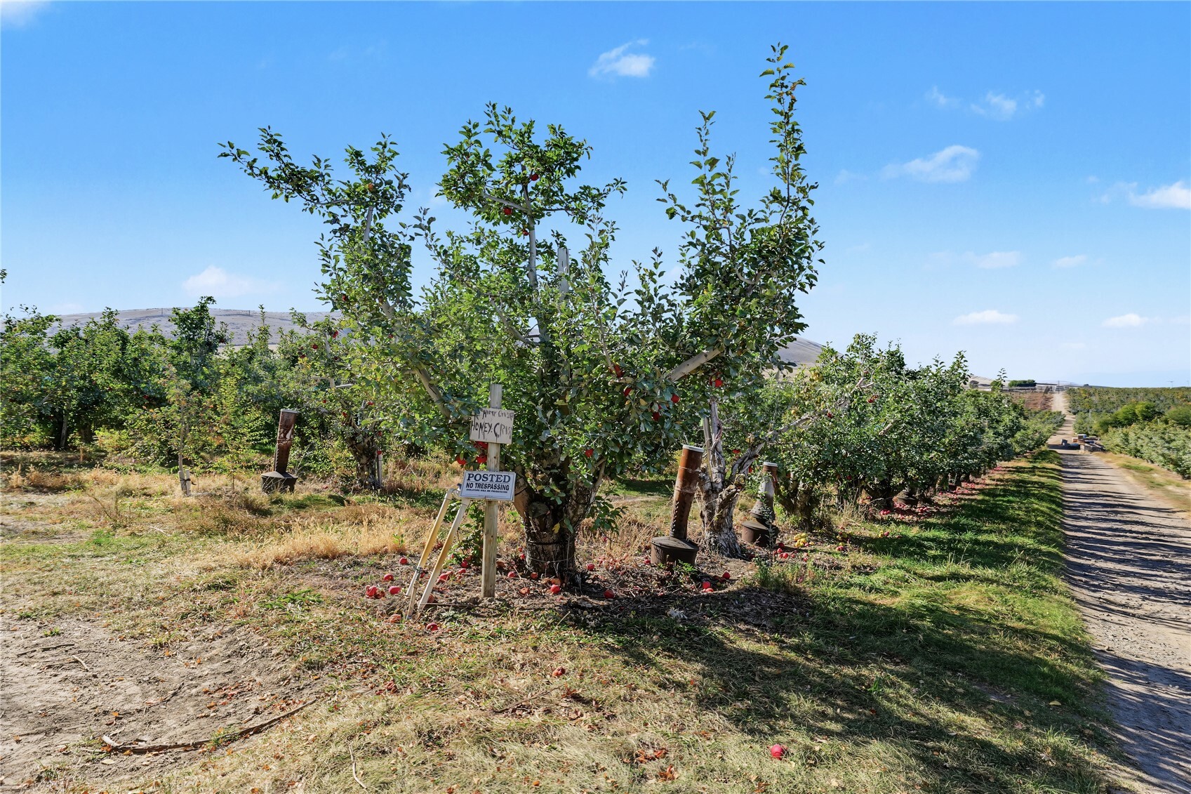 0 3570 Desmarais Road Property Photo 27