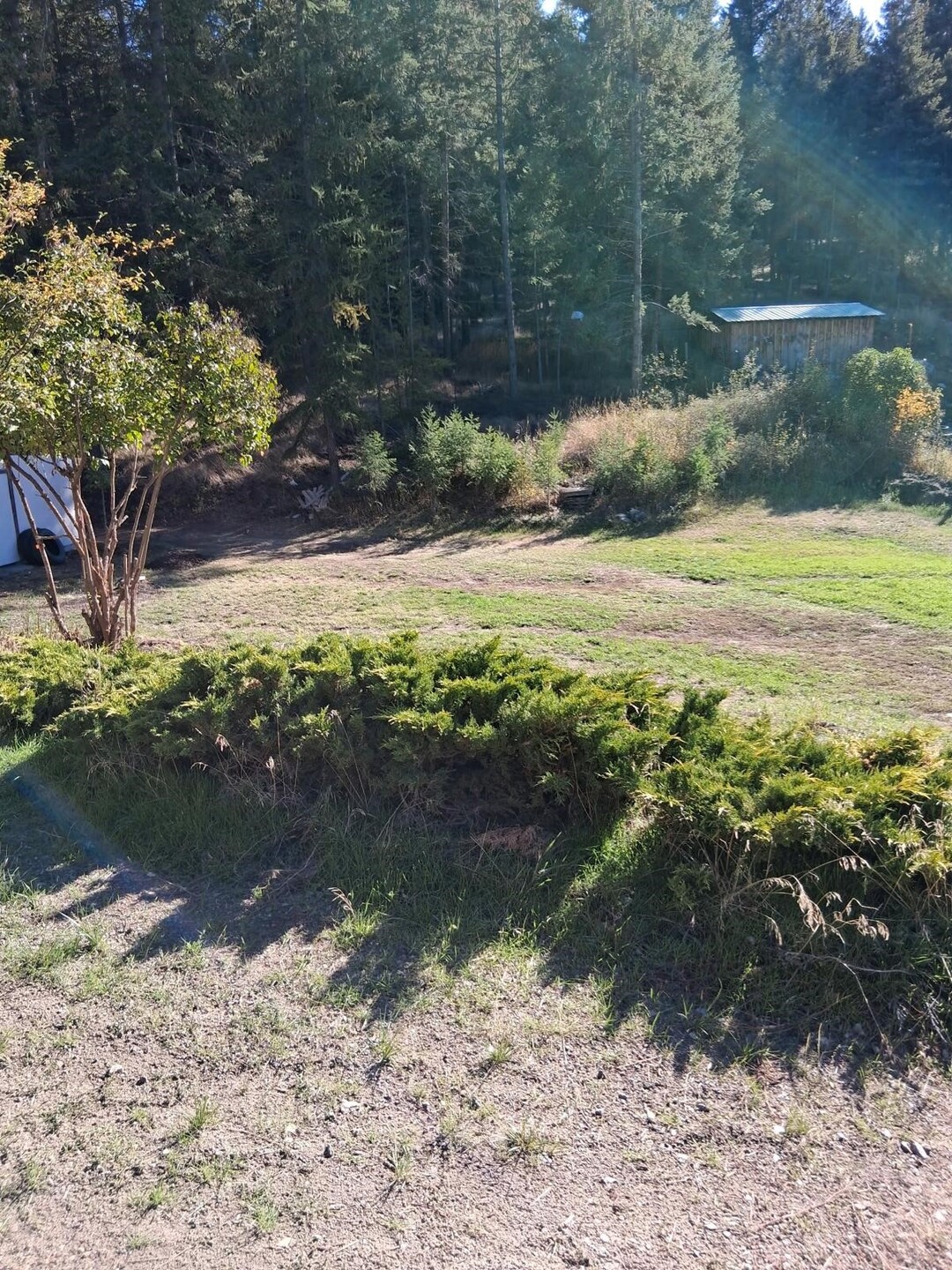 9 Forest Edge Road Property Photo 4