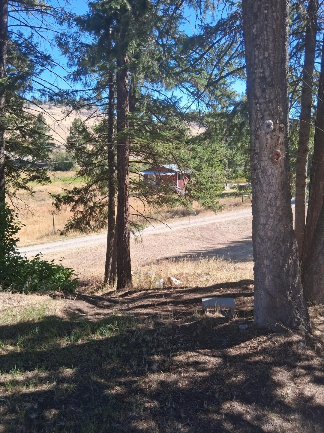 9 Forest Edge Road Property Photo 20