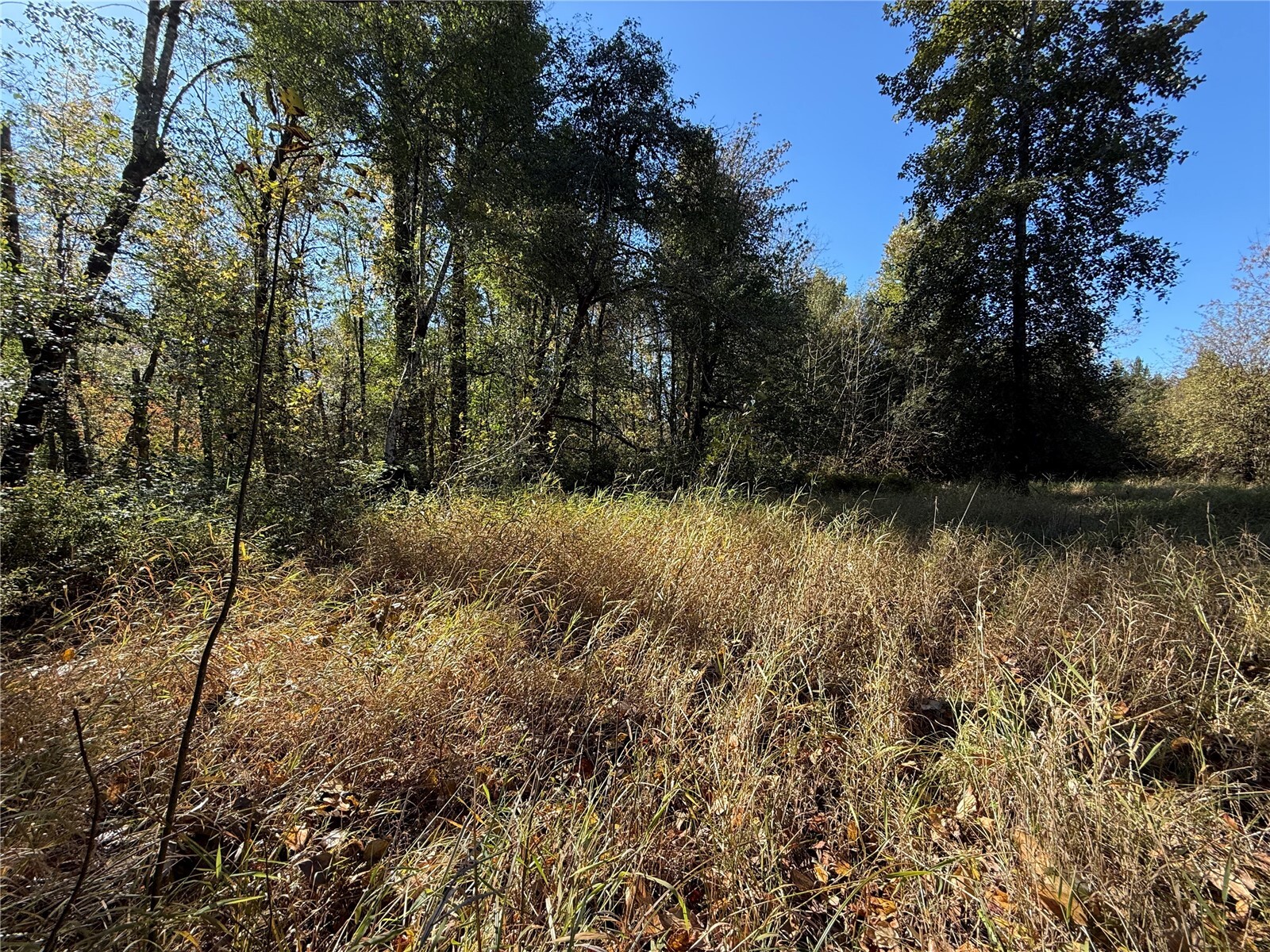 4503 113th Avenue Property Photo 10