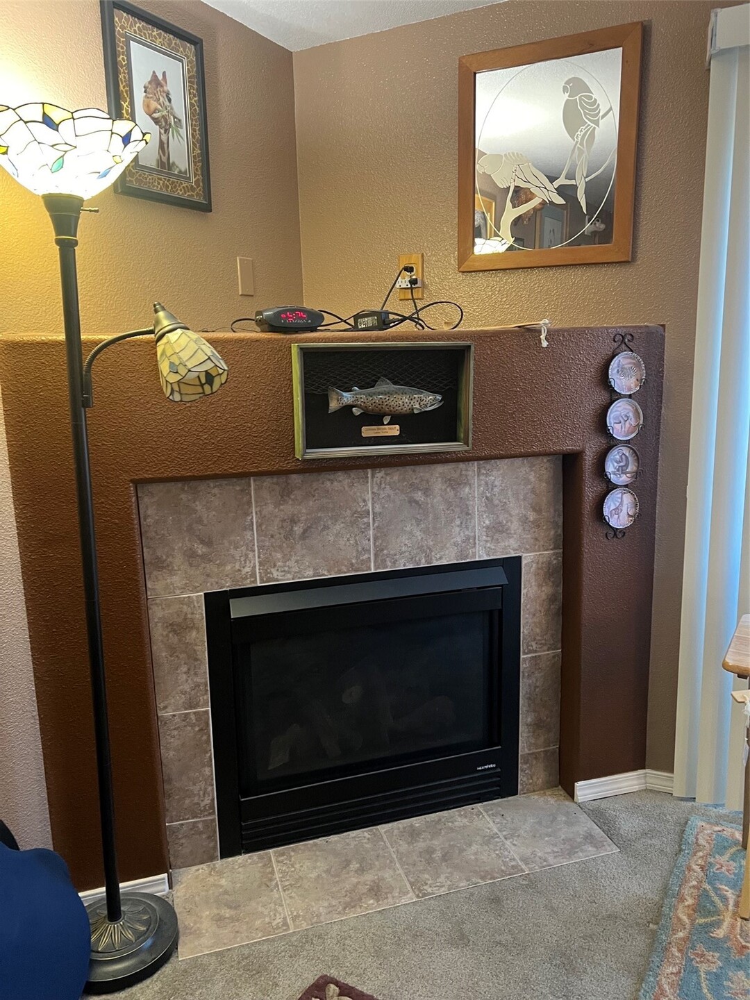 515 Baker Street Property Photo 4