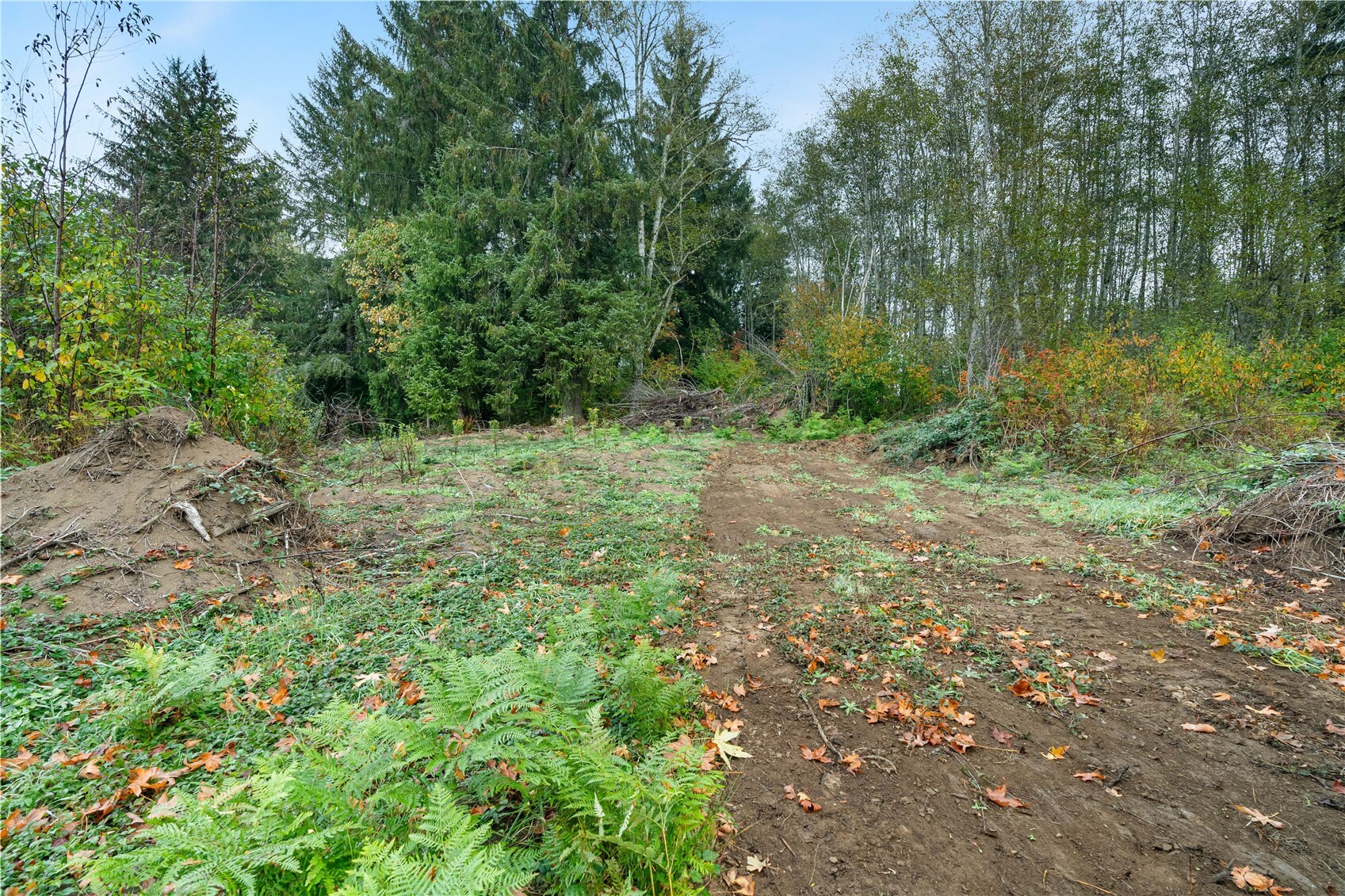 0 X Wilkie Lane Property Photo 1