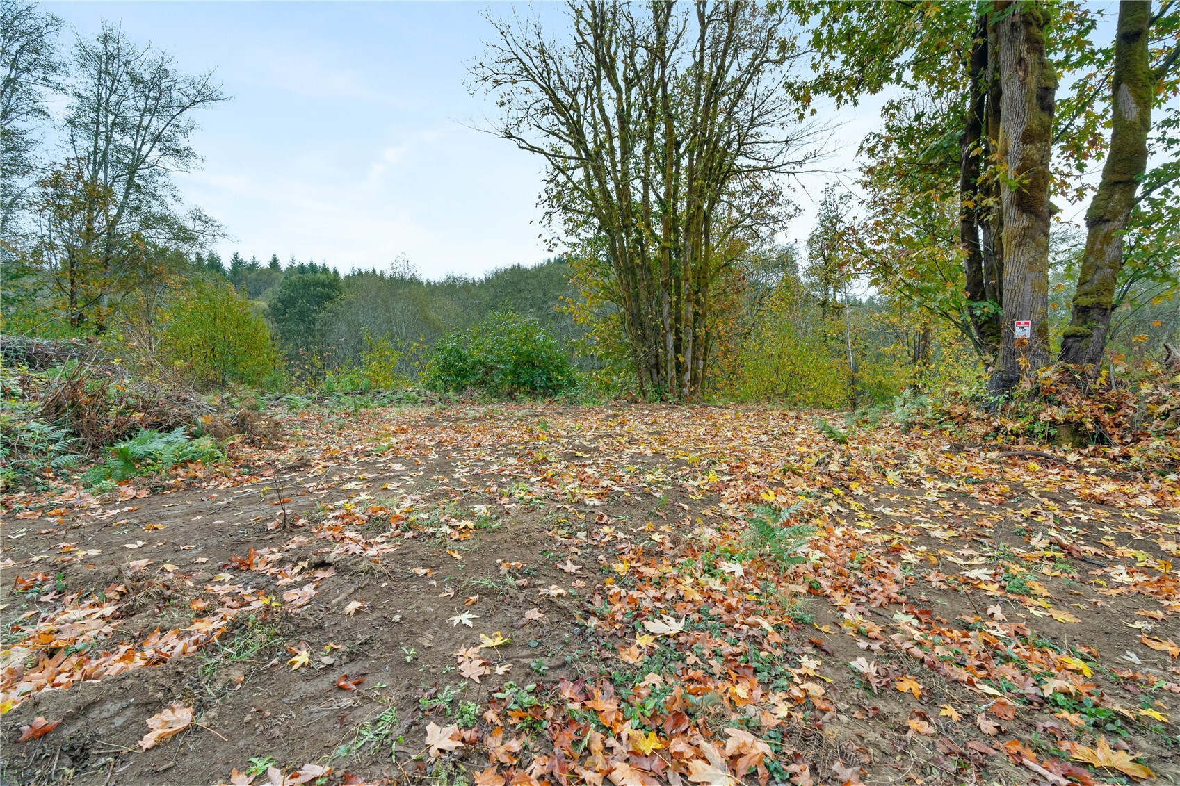 0 X Wilkie Lane Property Photo 2