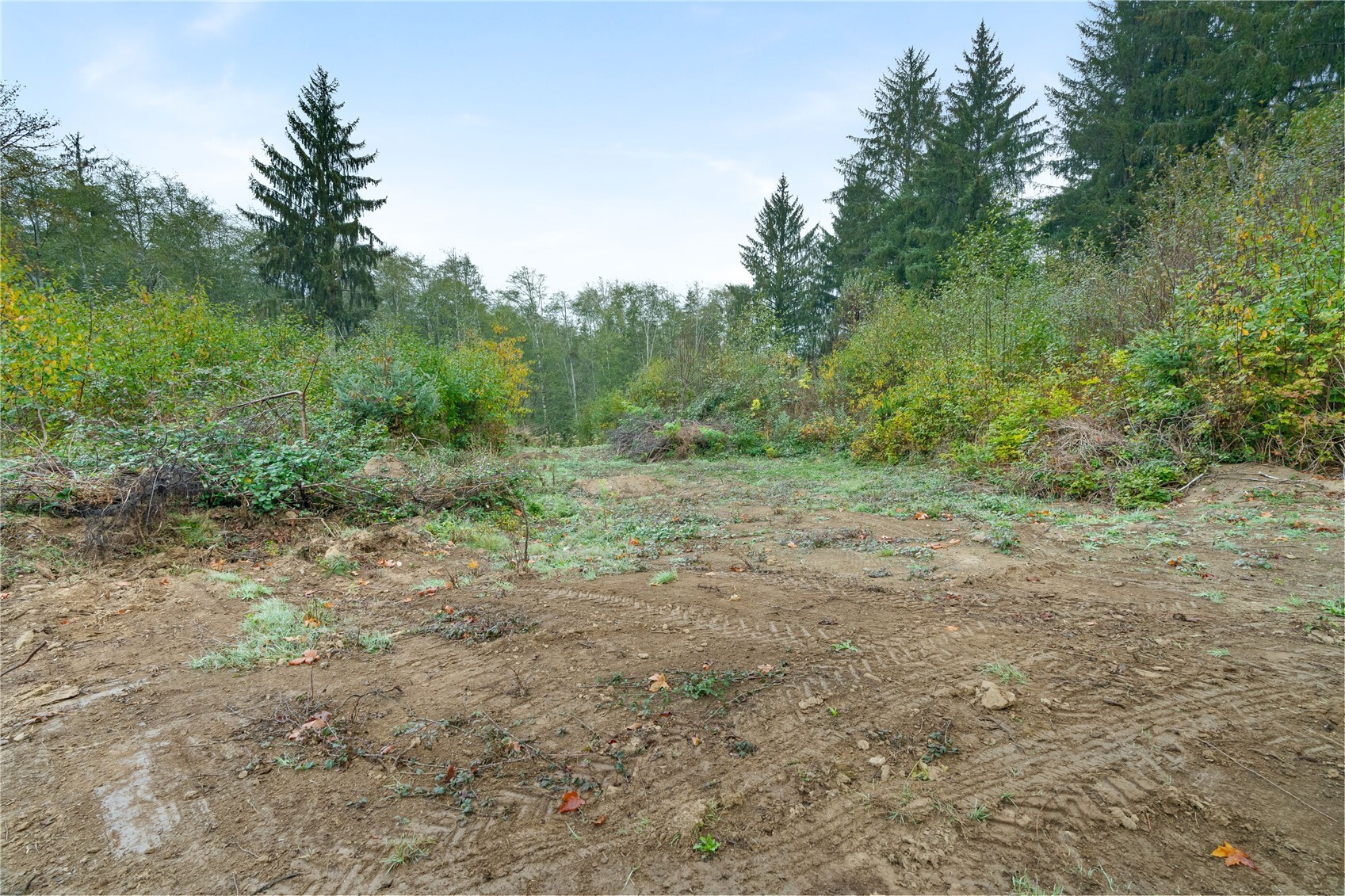 0 X Wilkie Lane Property Photo 3