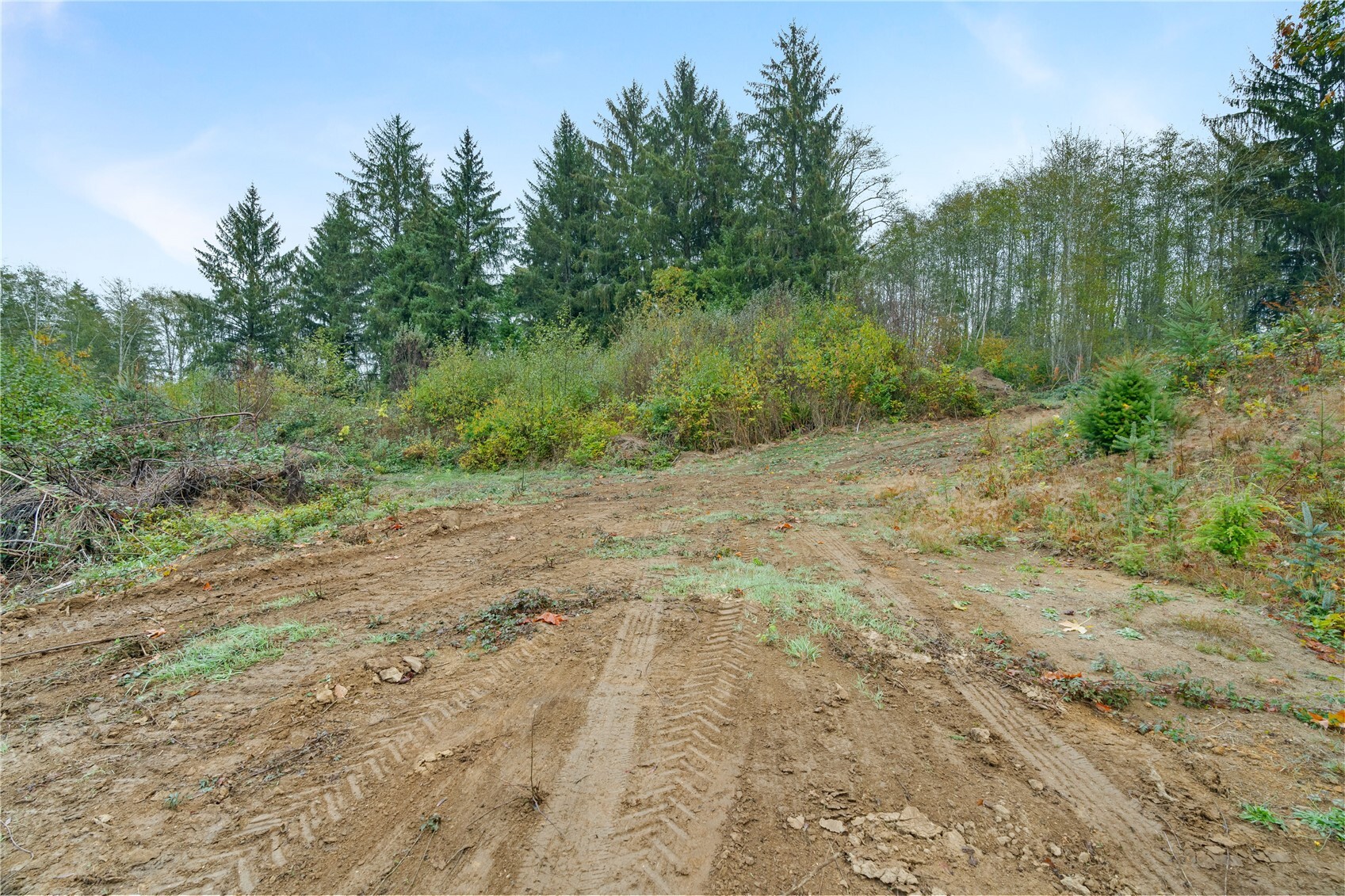 0 X Wilkie Lane Property Photo 4