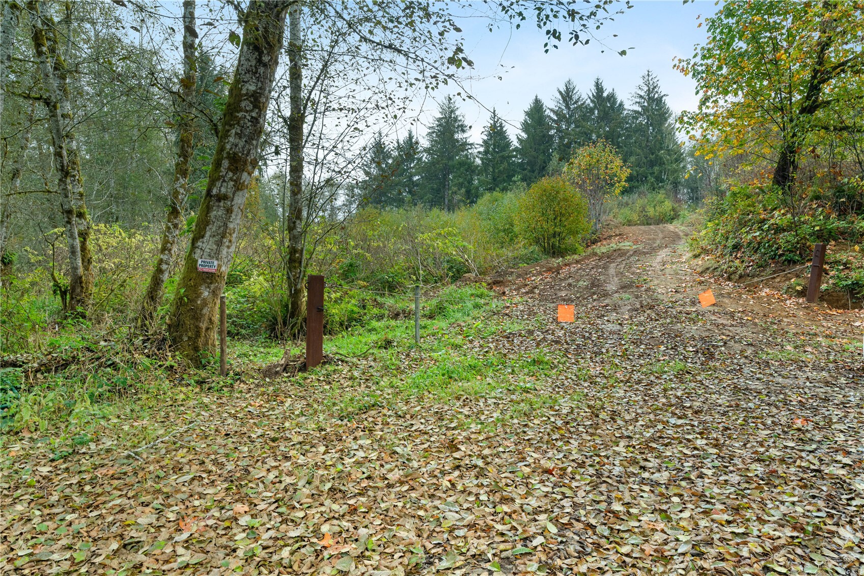 0 X Wilkie Lane Property Photo 6