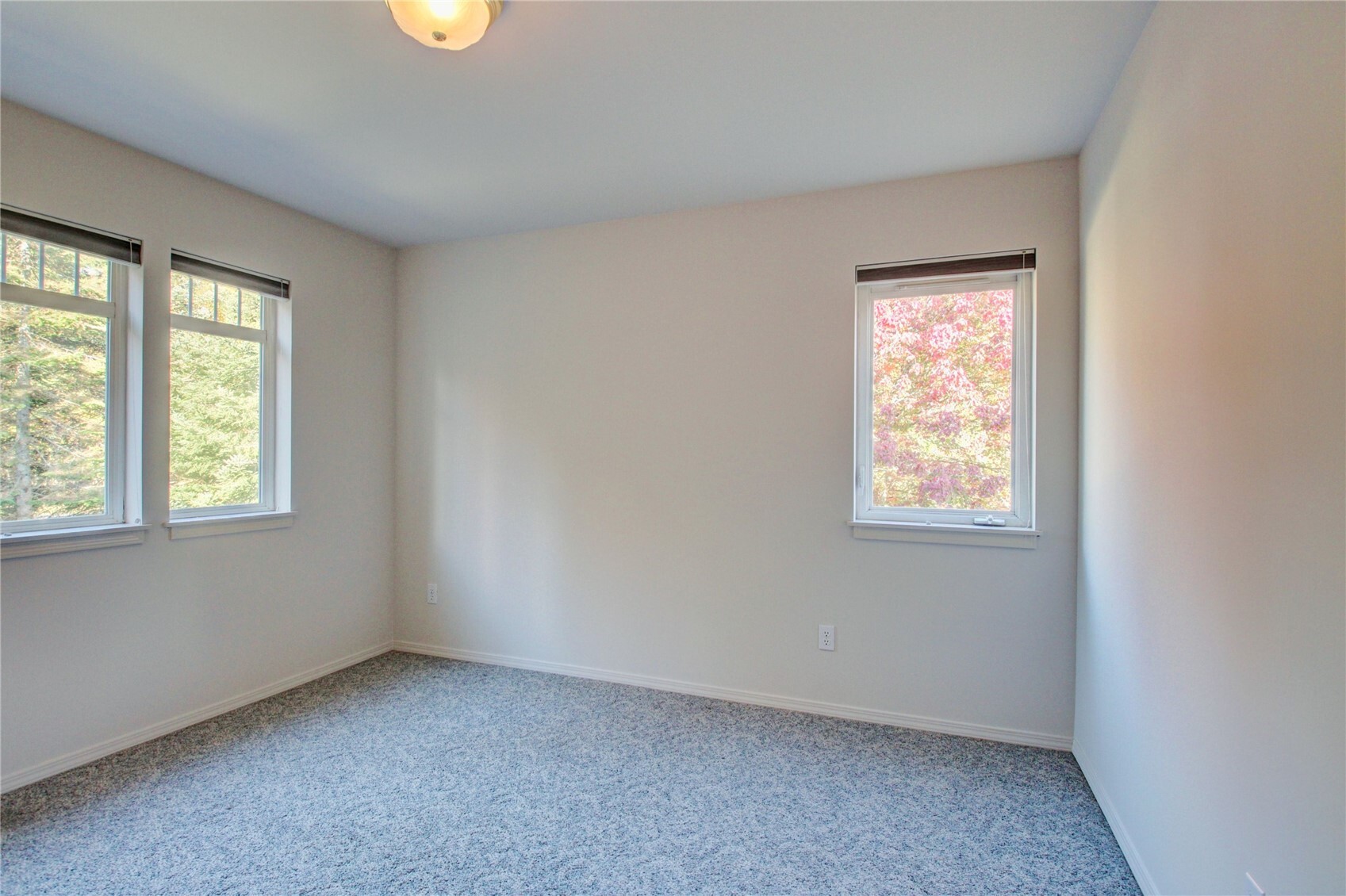 3557 Butler Creek Road Property Photo 15