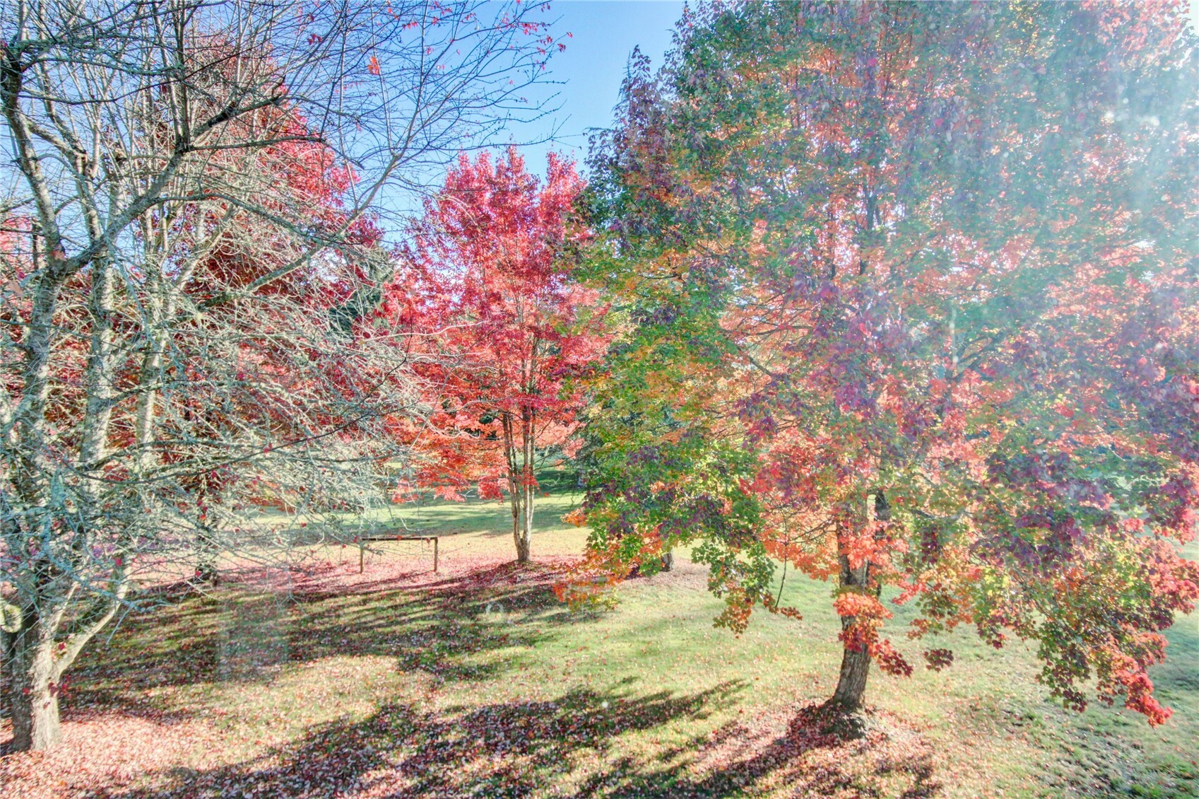 3557 Butler Creek Road Property Photo 22