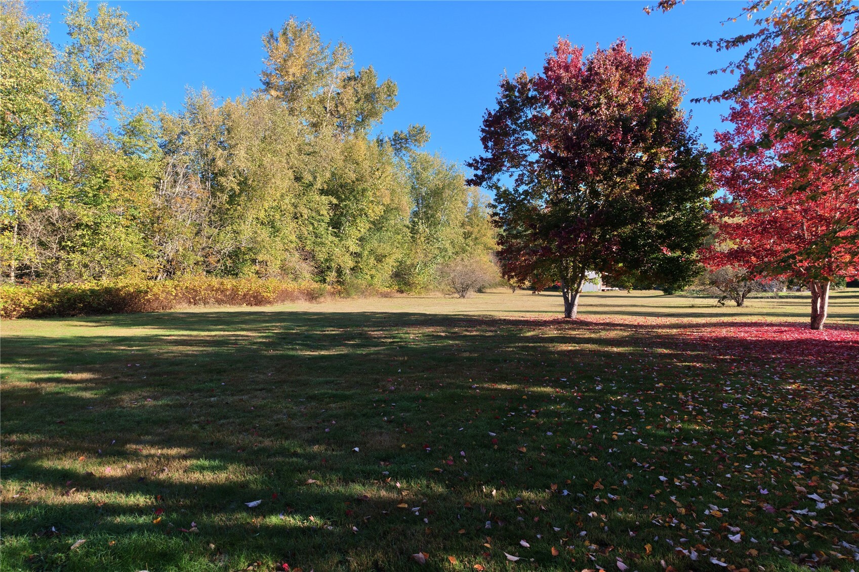 3557 Butler Creek Road Property Photo 26