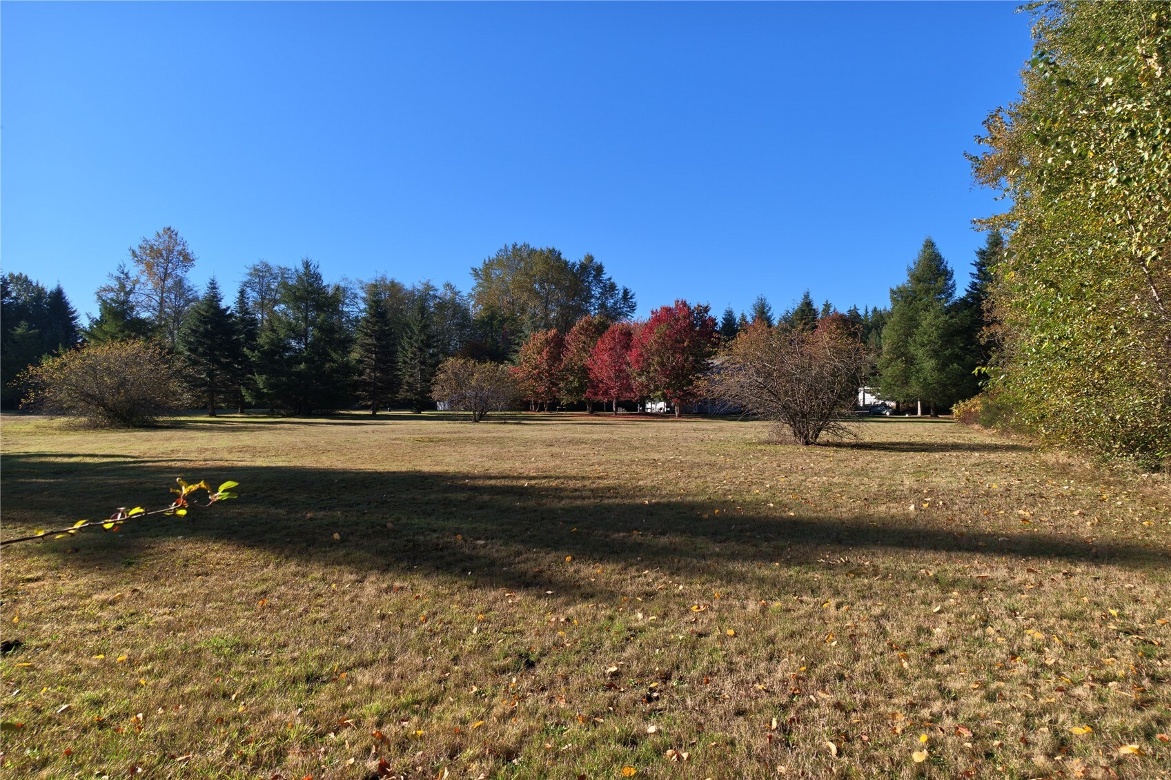 3557 Butler Creek Road Property Photo 30