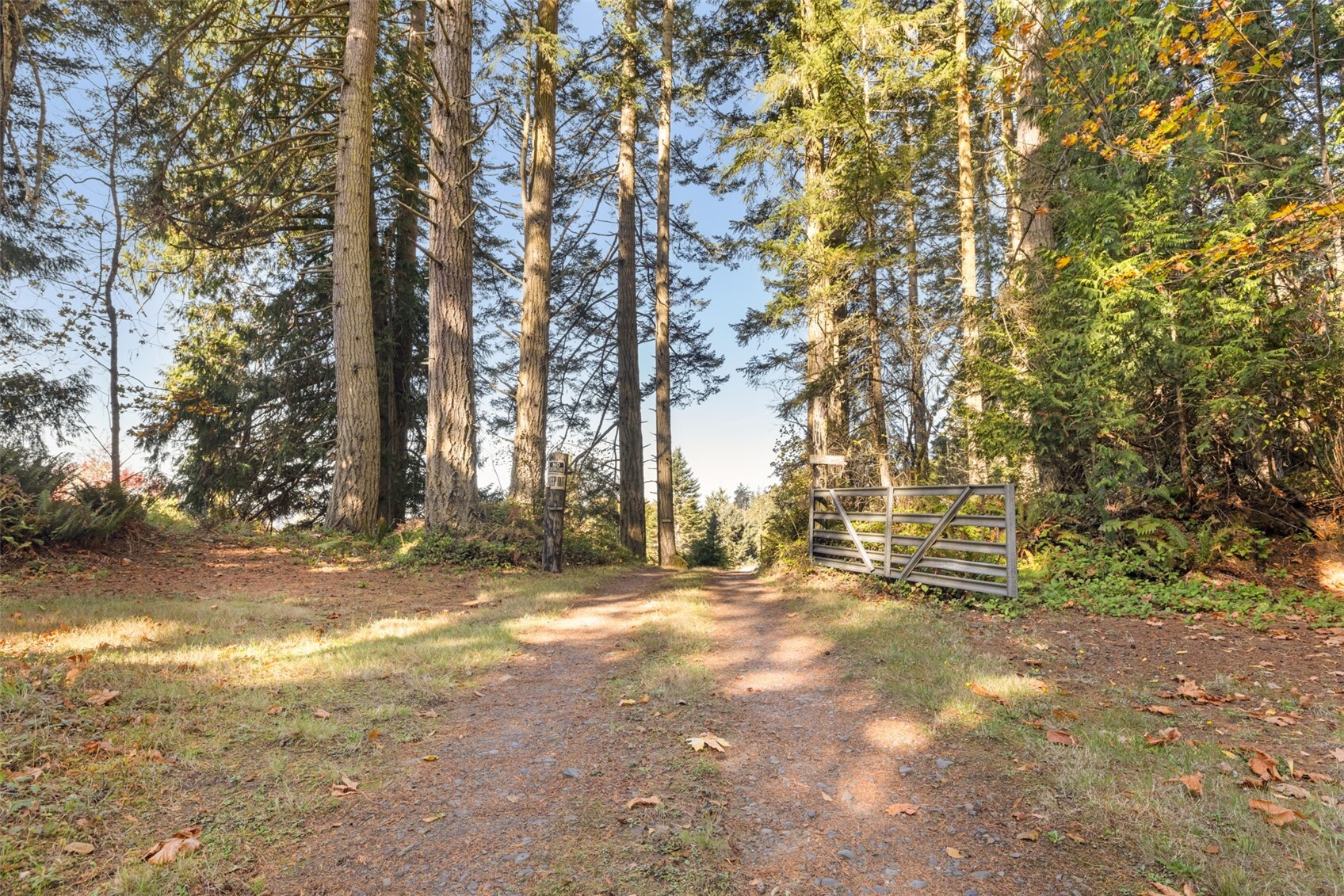 3295 Camp Hayden Road Property Photo 36