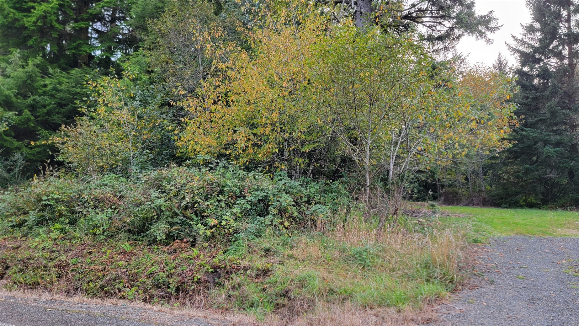 12 South Bend Palix Road Property Photo 3