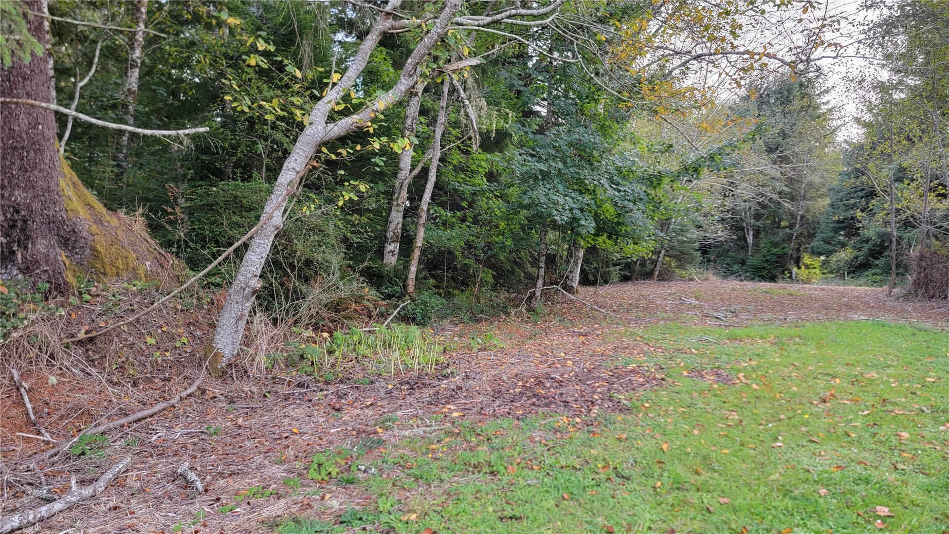 12 South Bend Palix Road Property Photo 9