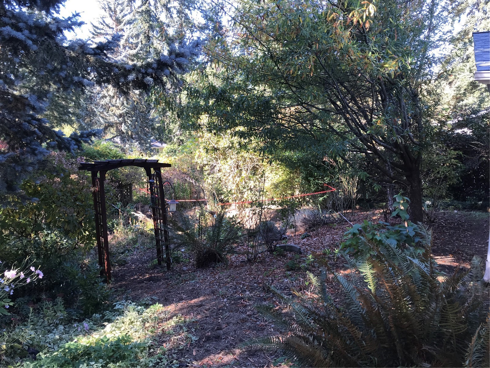 9261 Olson Road Property Photo 10