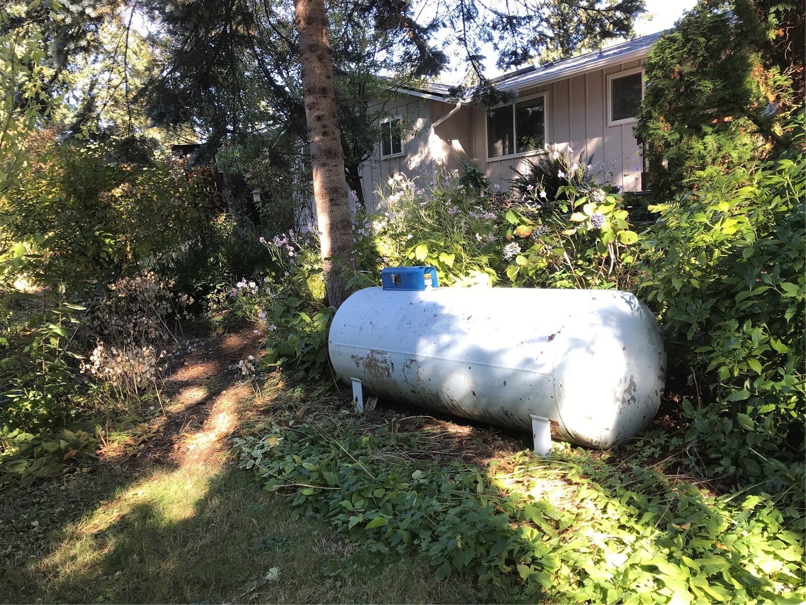 9261 Olson Road Property Photo 12