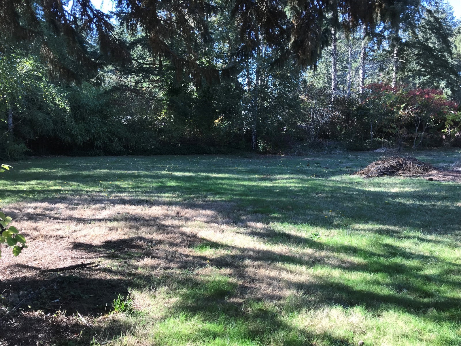9261 Olson Road Property Photo 14