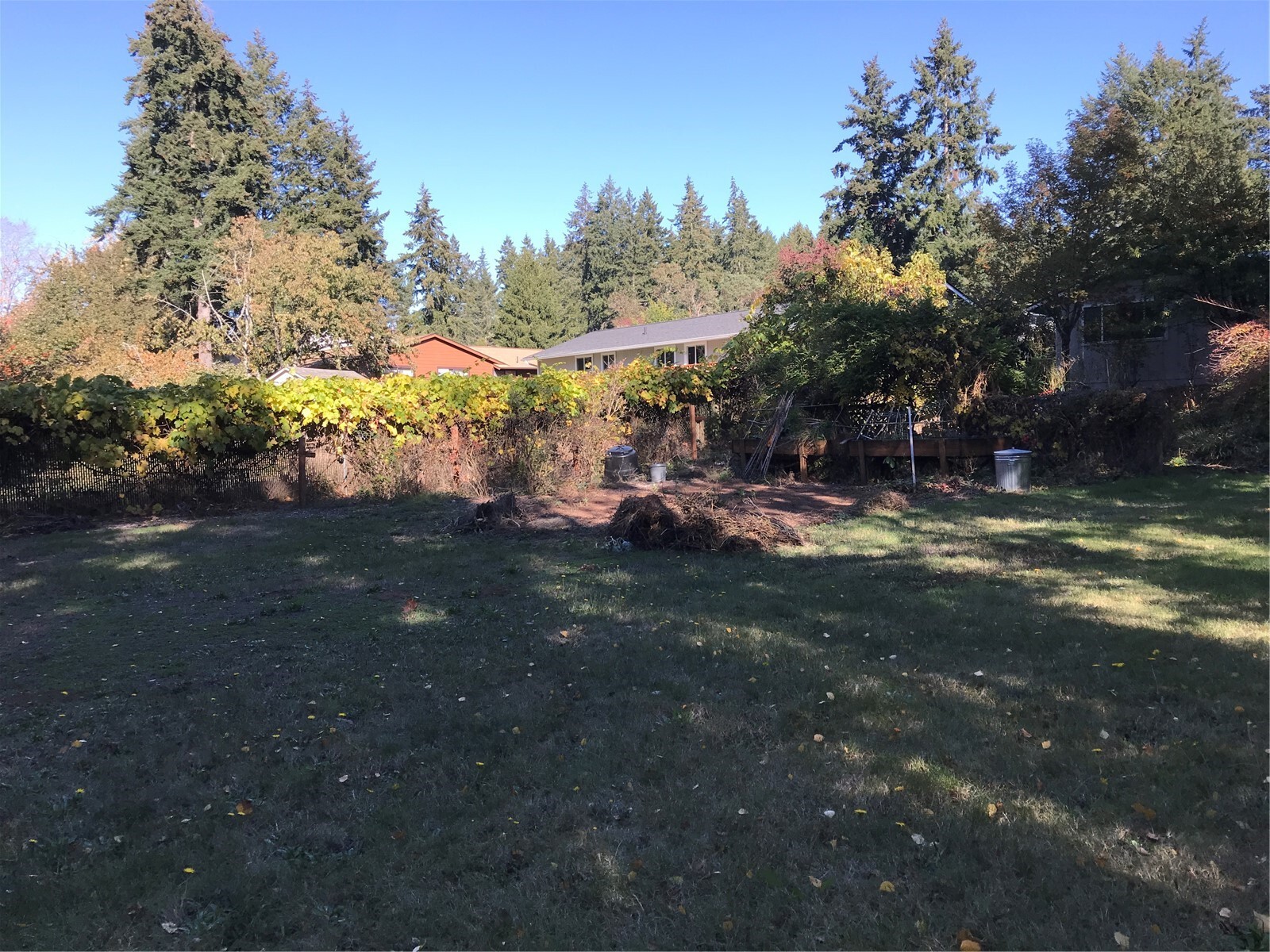 9261 Olson Road Property Photo 15