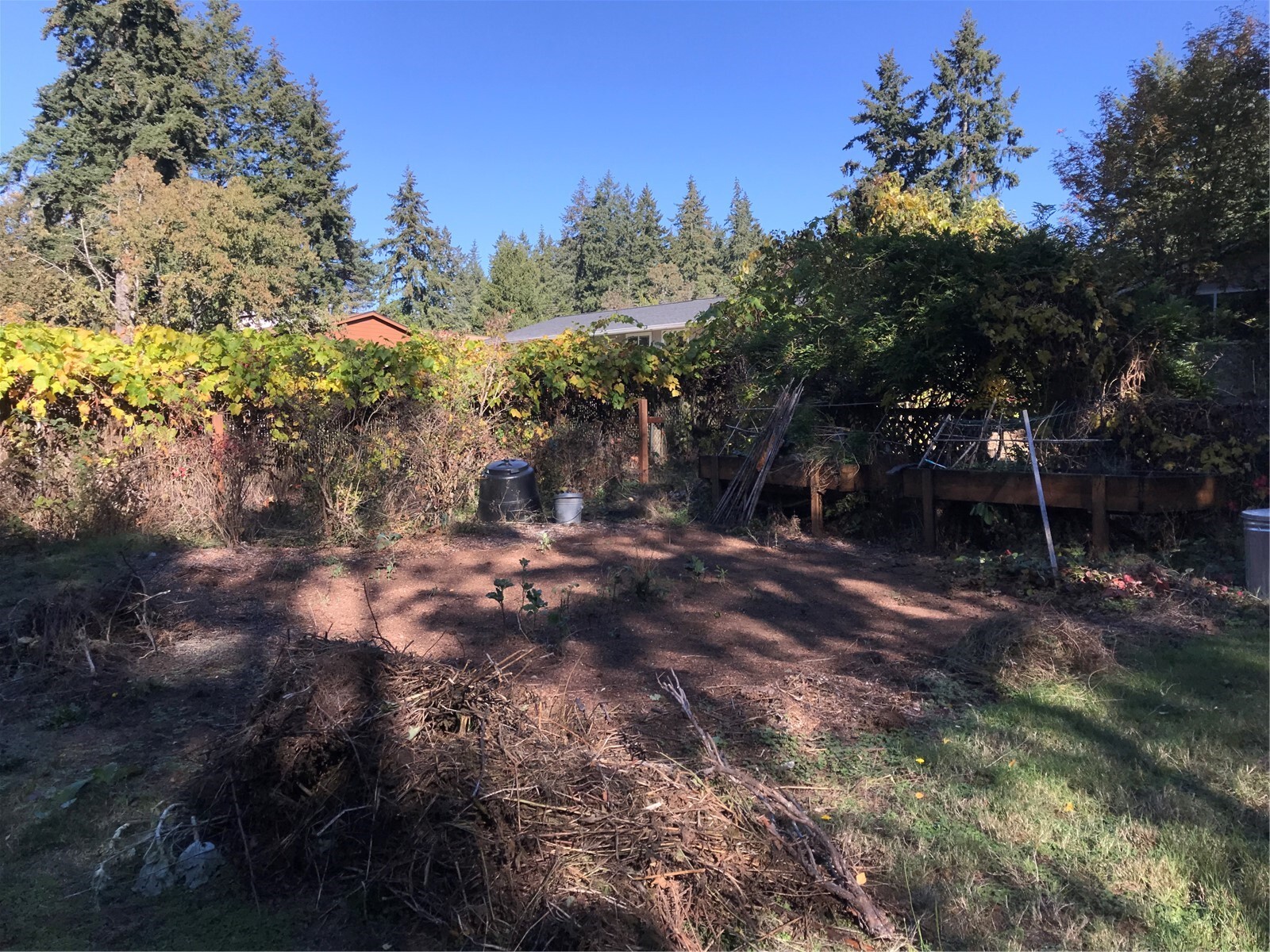 9261 Olson Road Property Photo 16