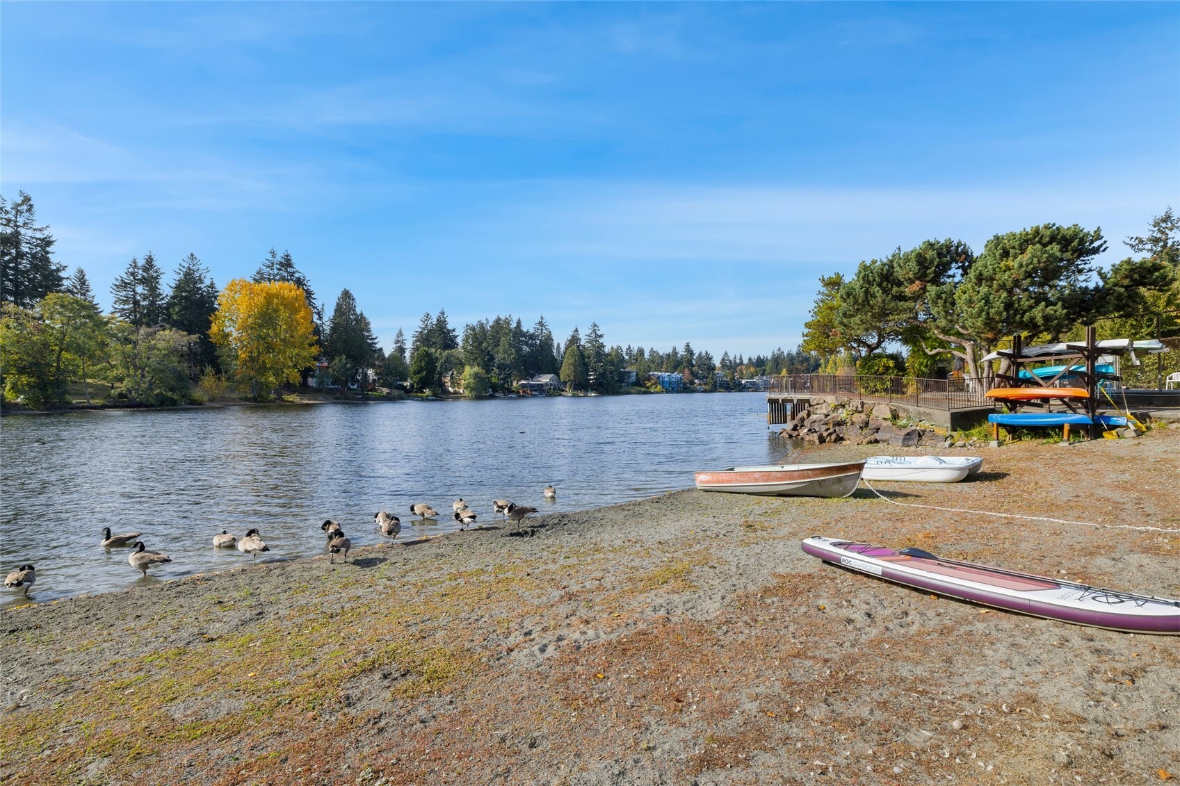13229 N Linden Avenue B-204 Property Photo 17