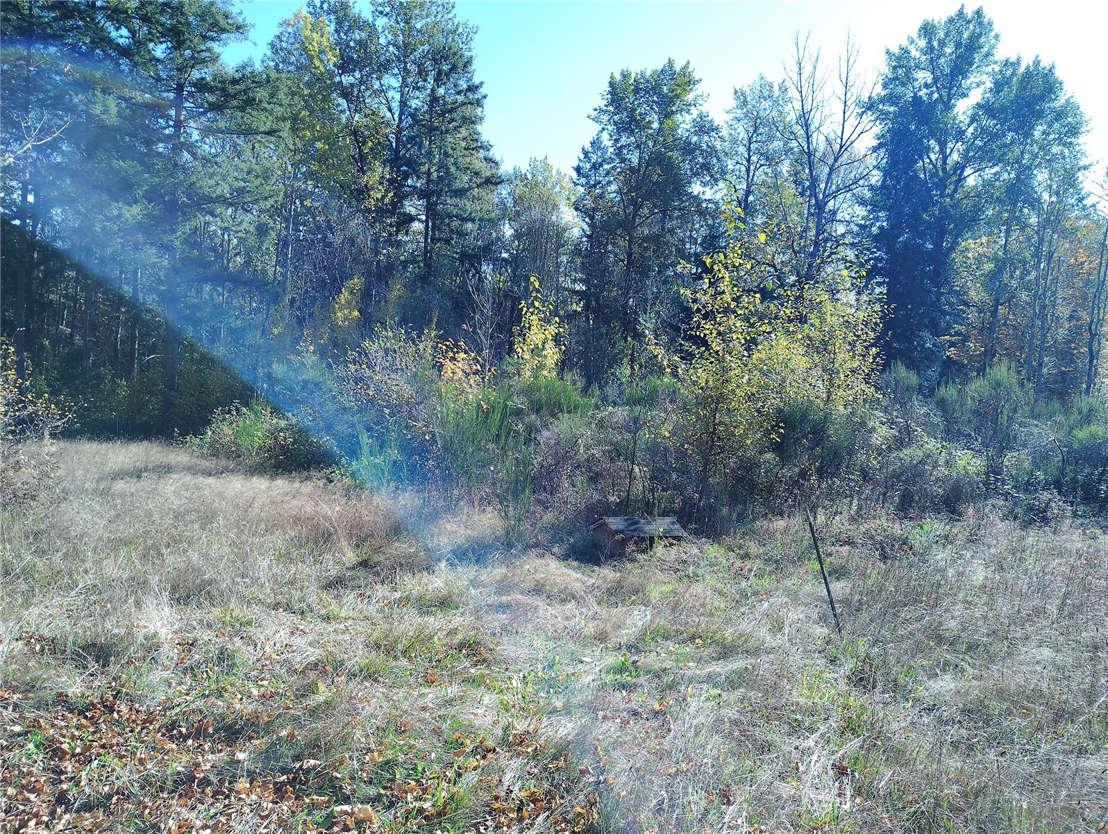 3614 364th Street Property Photo 17