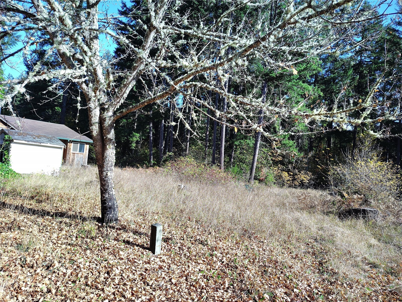 3614 364th Street Property Photo 18