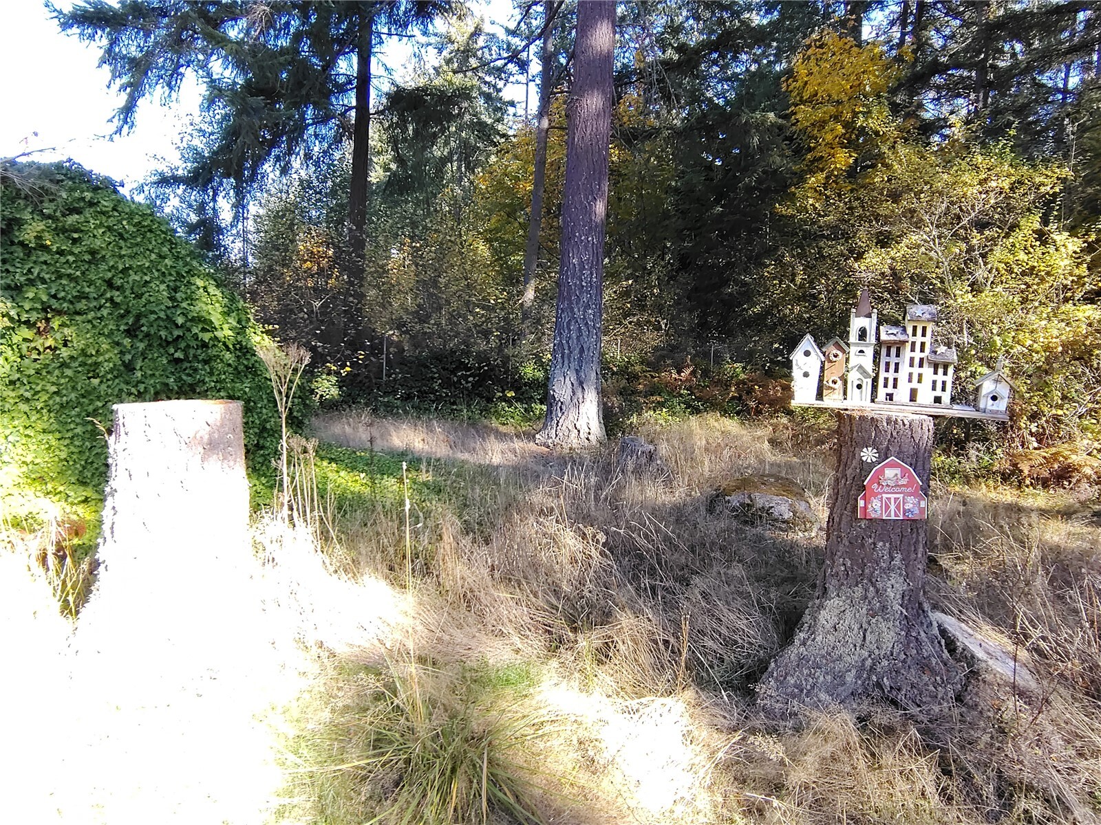 3614 364th Street Property Photo 19