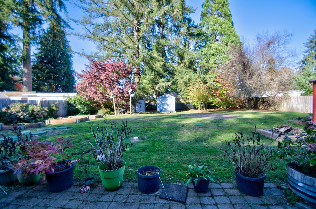 2548 114th Avenue Property Photo 35