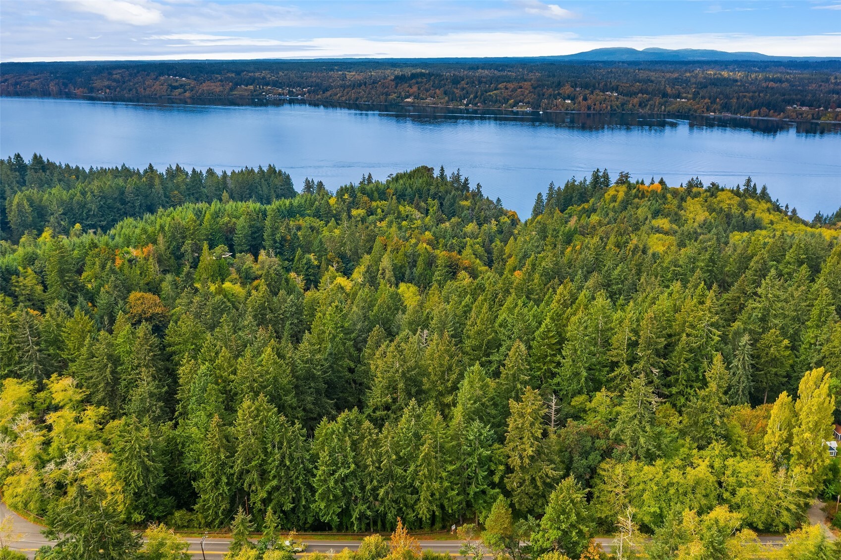 12060 Vashon Highway Property Photo 4