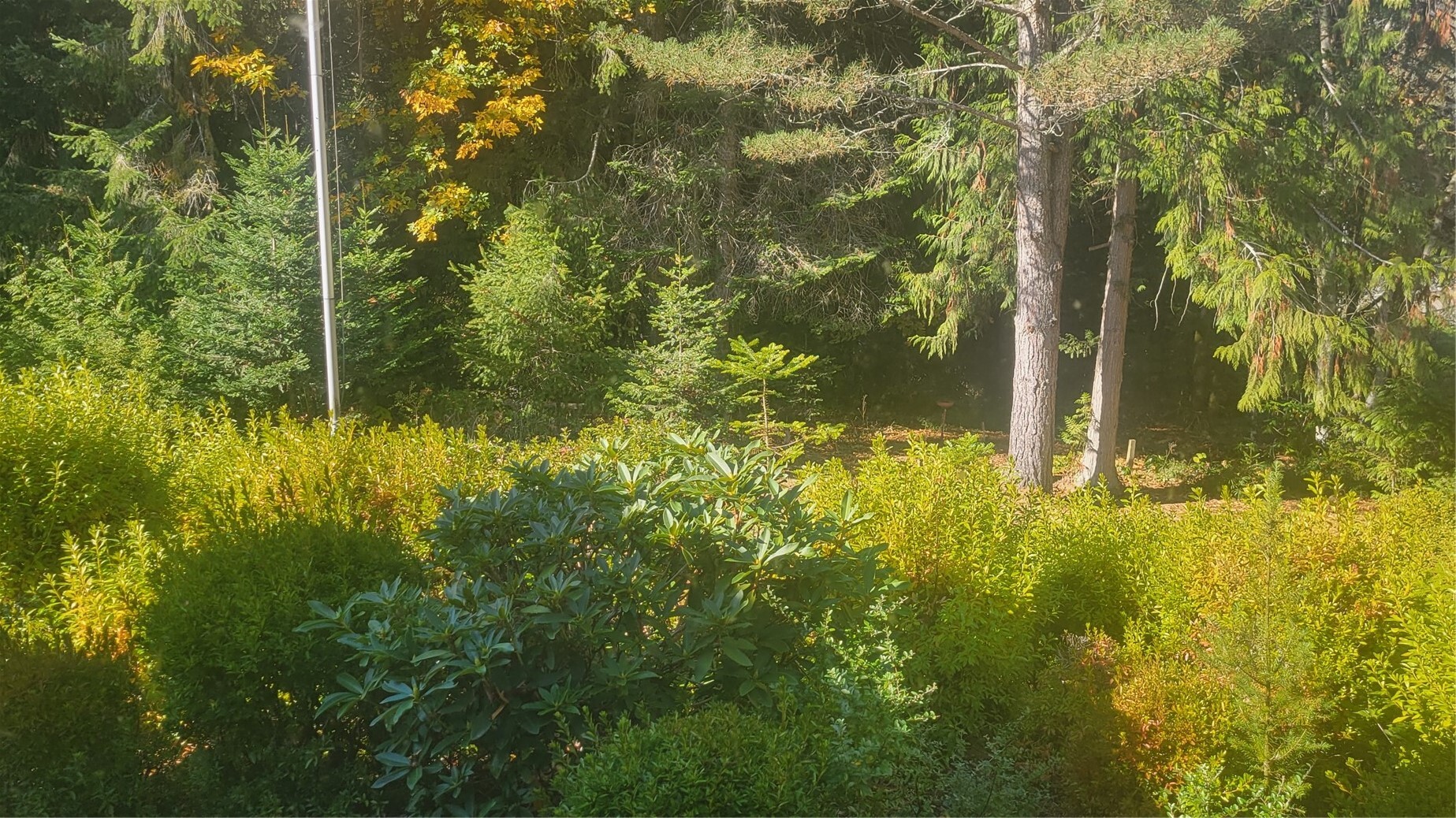 4245 Rose Valley Road Property Photo 5