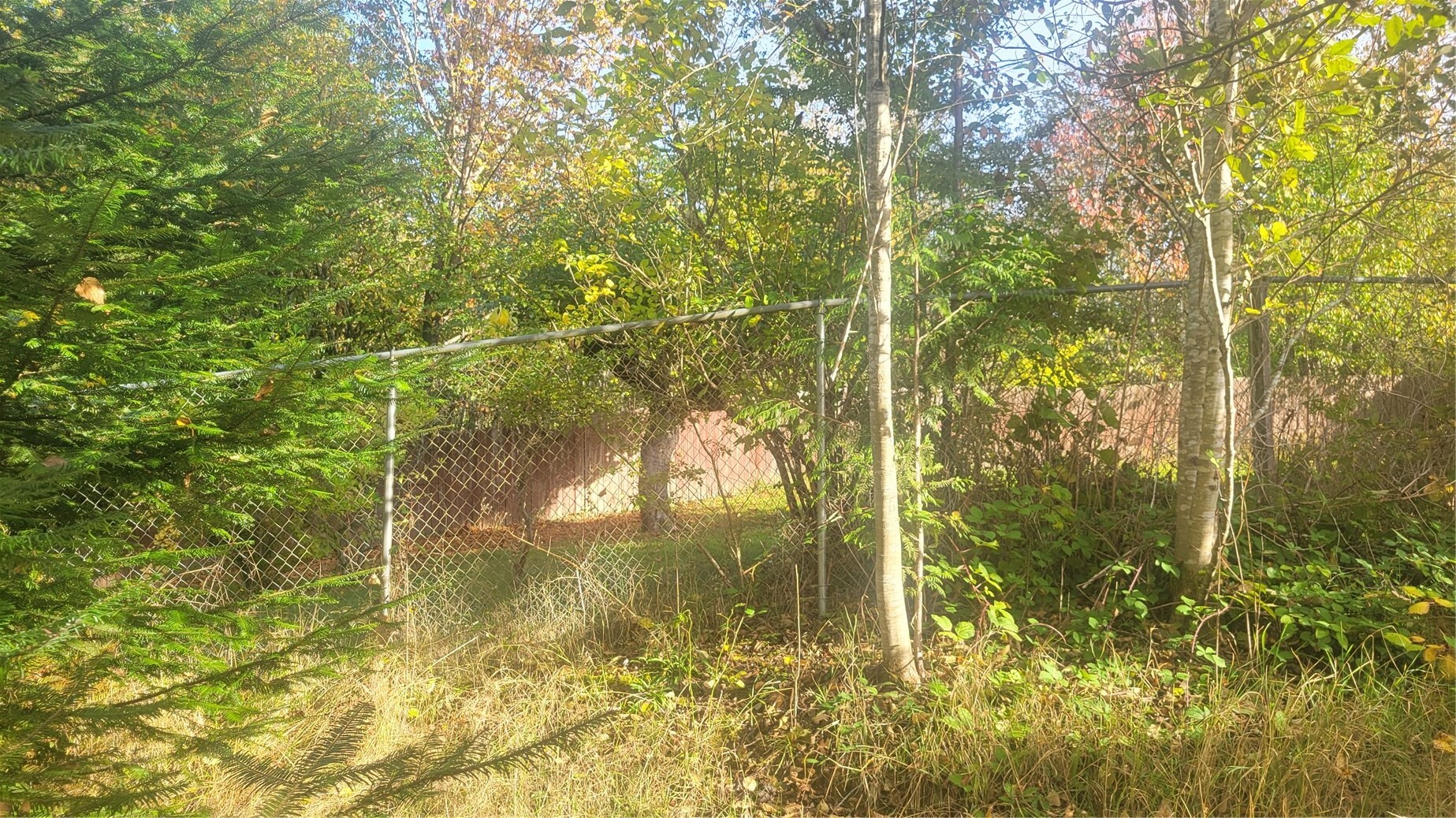 4245 Rose Valley Road Property Photo 26