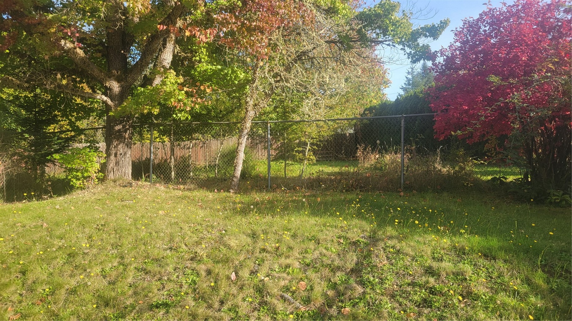4245 Rose Valley Road Property Photo 27