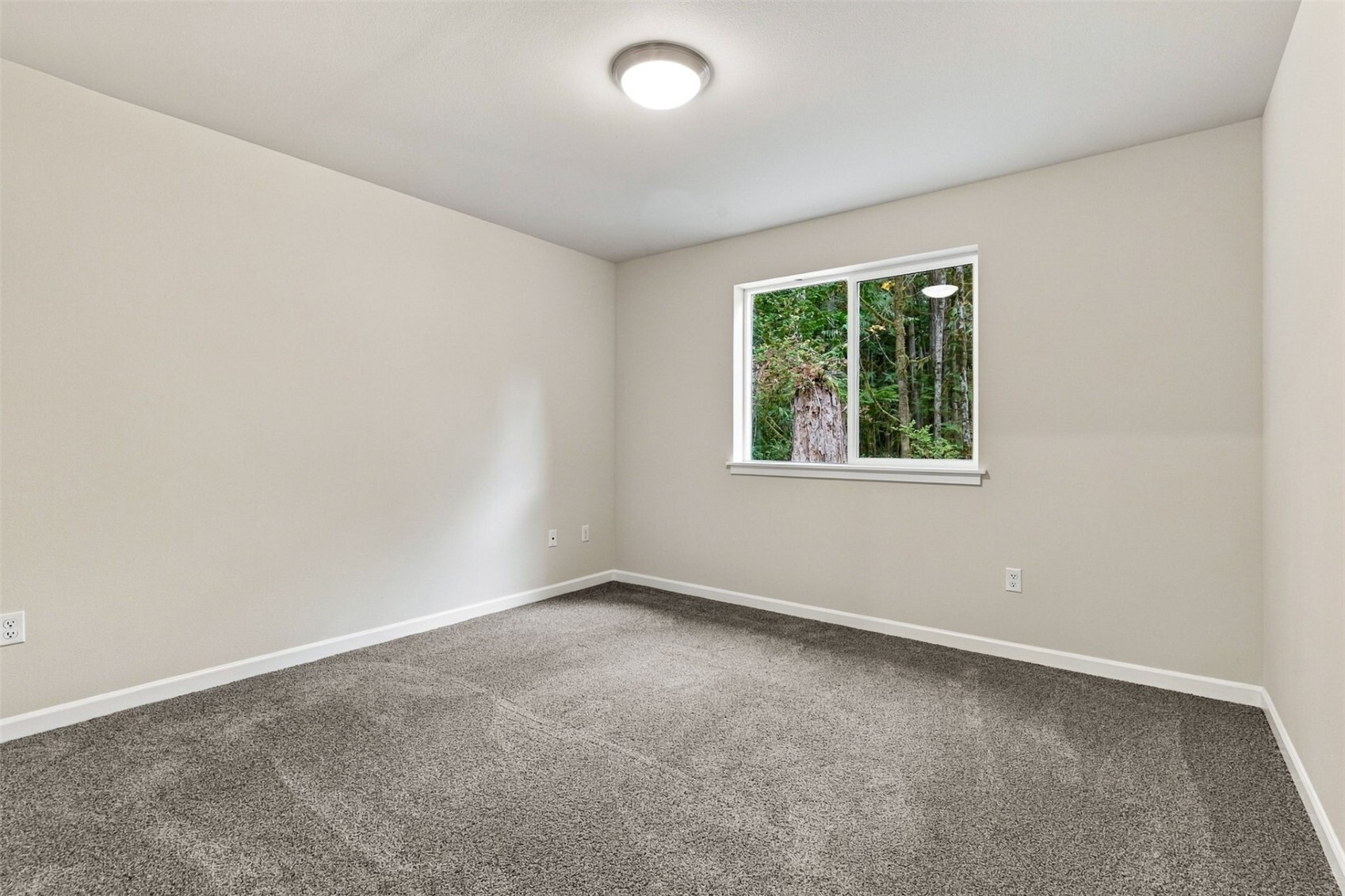 101 Sharpe Street Property Photo 15