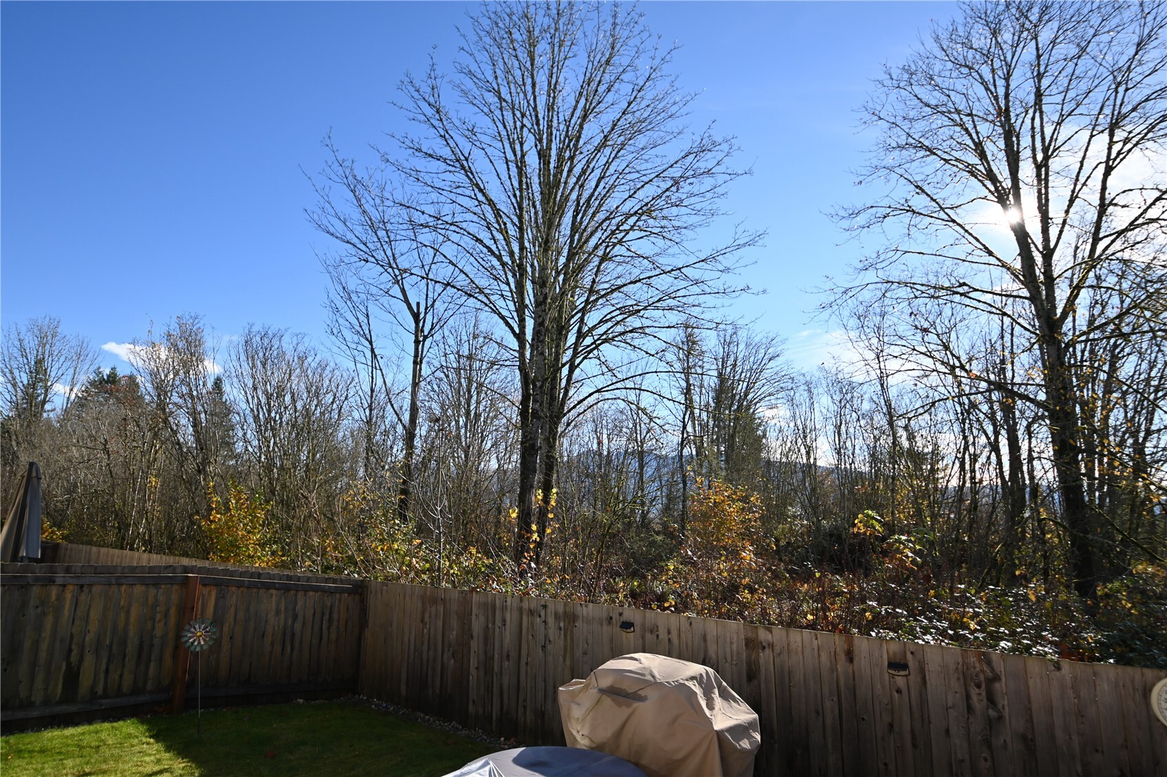 31620 Winston Street Property Photo 3