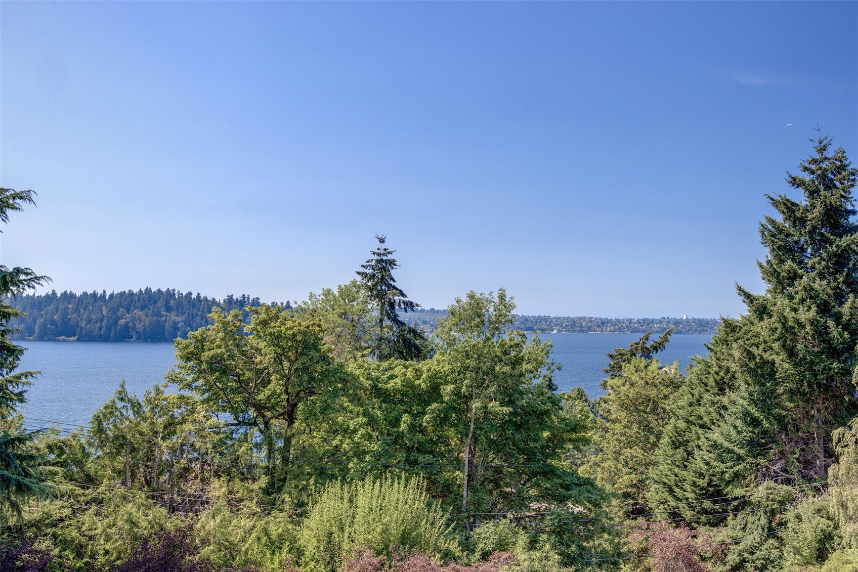 4715 81st Avenue Property Photo 2