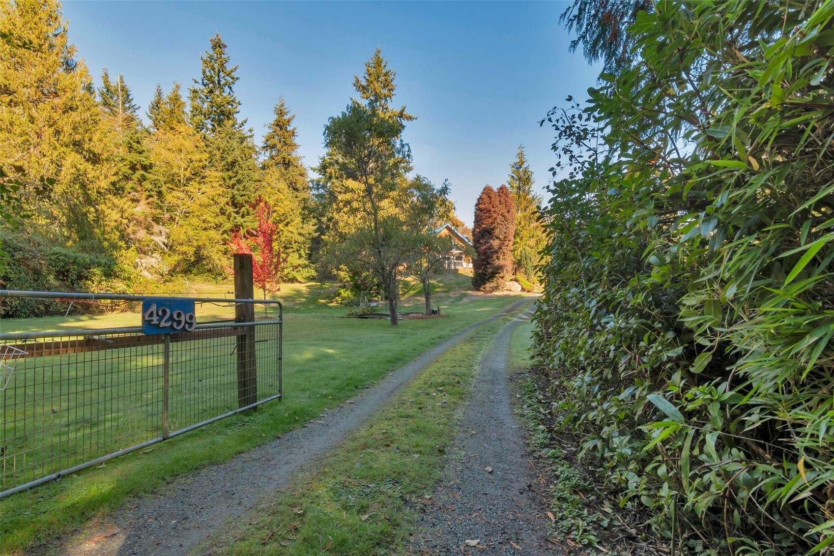 4299 Sorrel Property Photo 21