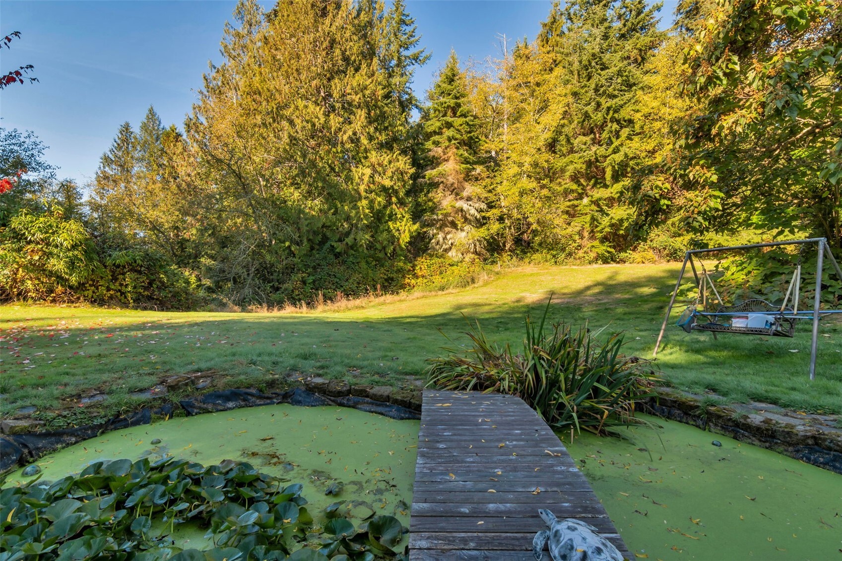 4299 Sorrel Property Photo 24