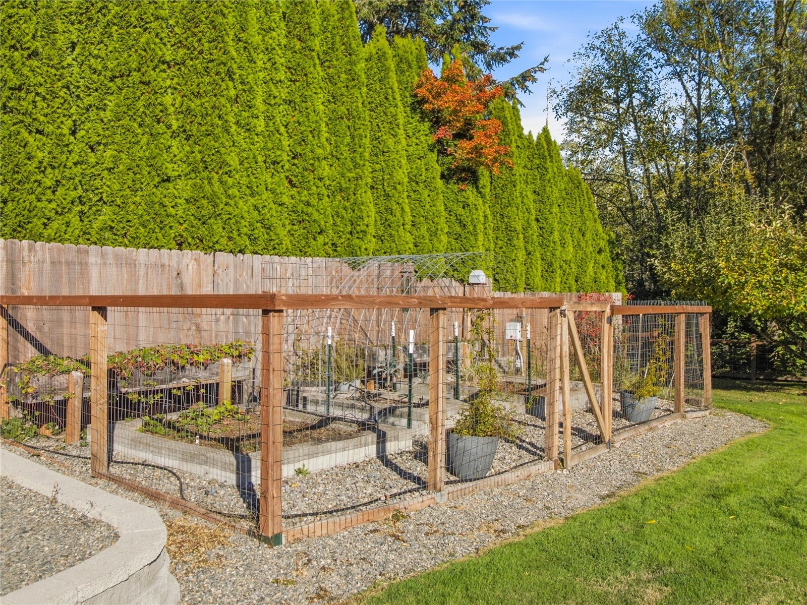 8318 Baird Road Property Photo 34