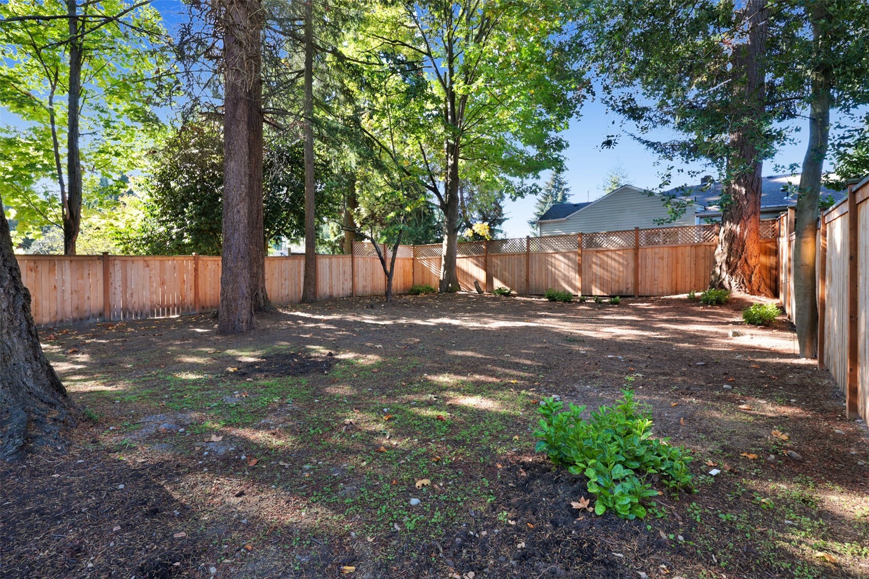 13315 31st Avenue Property Photo 31